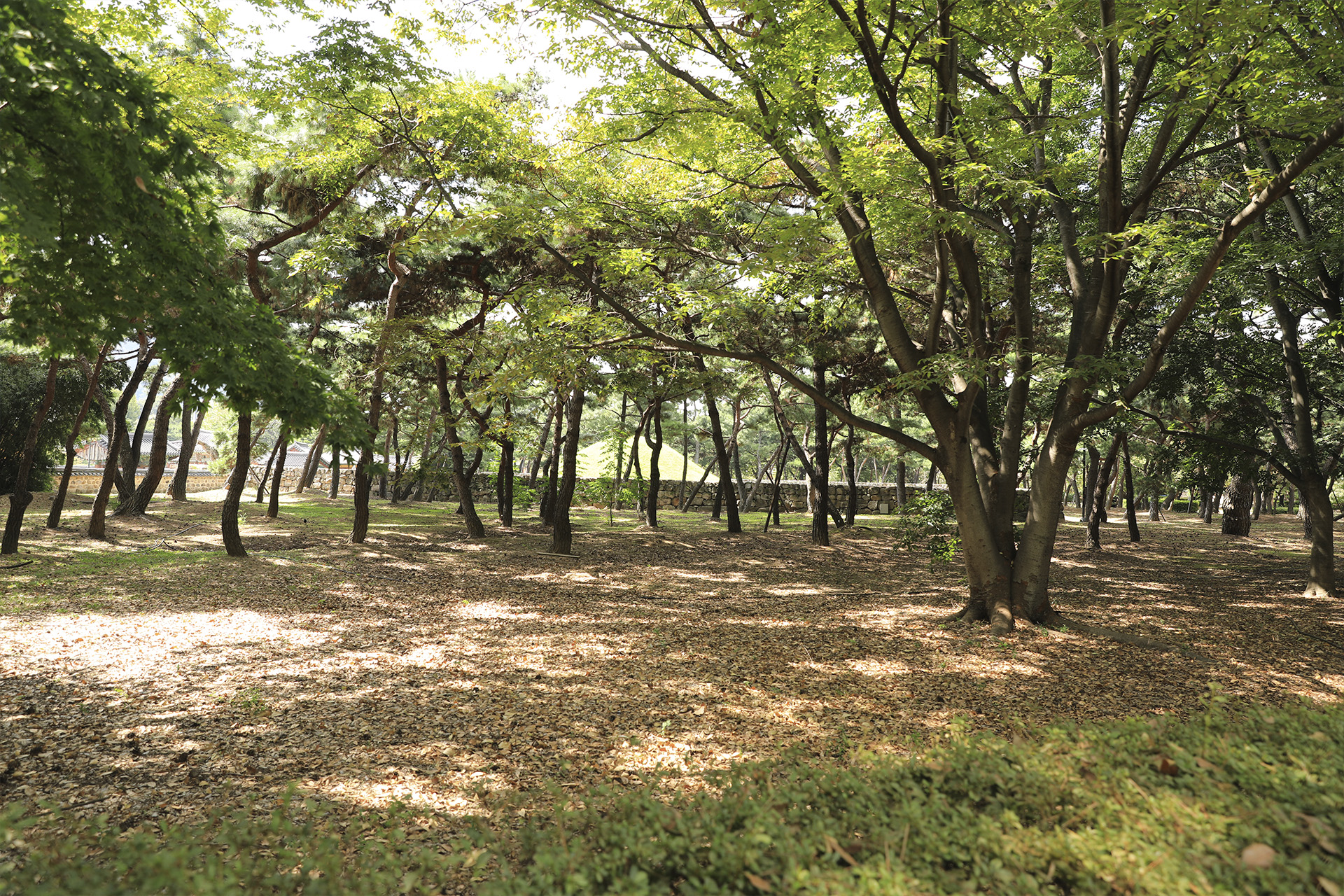 김해시 수로왕릉