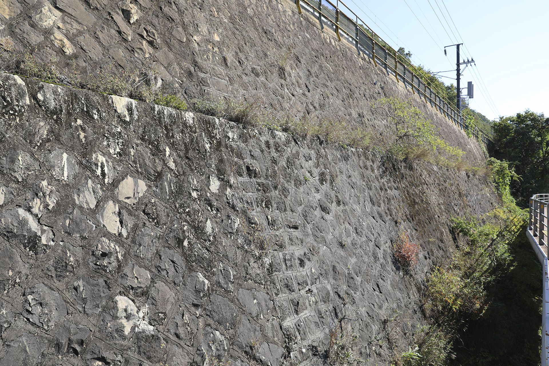 삼랑진낙동강자전거도로