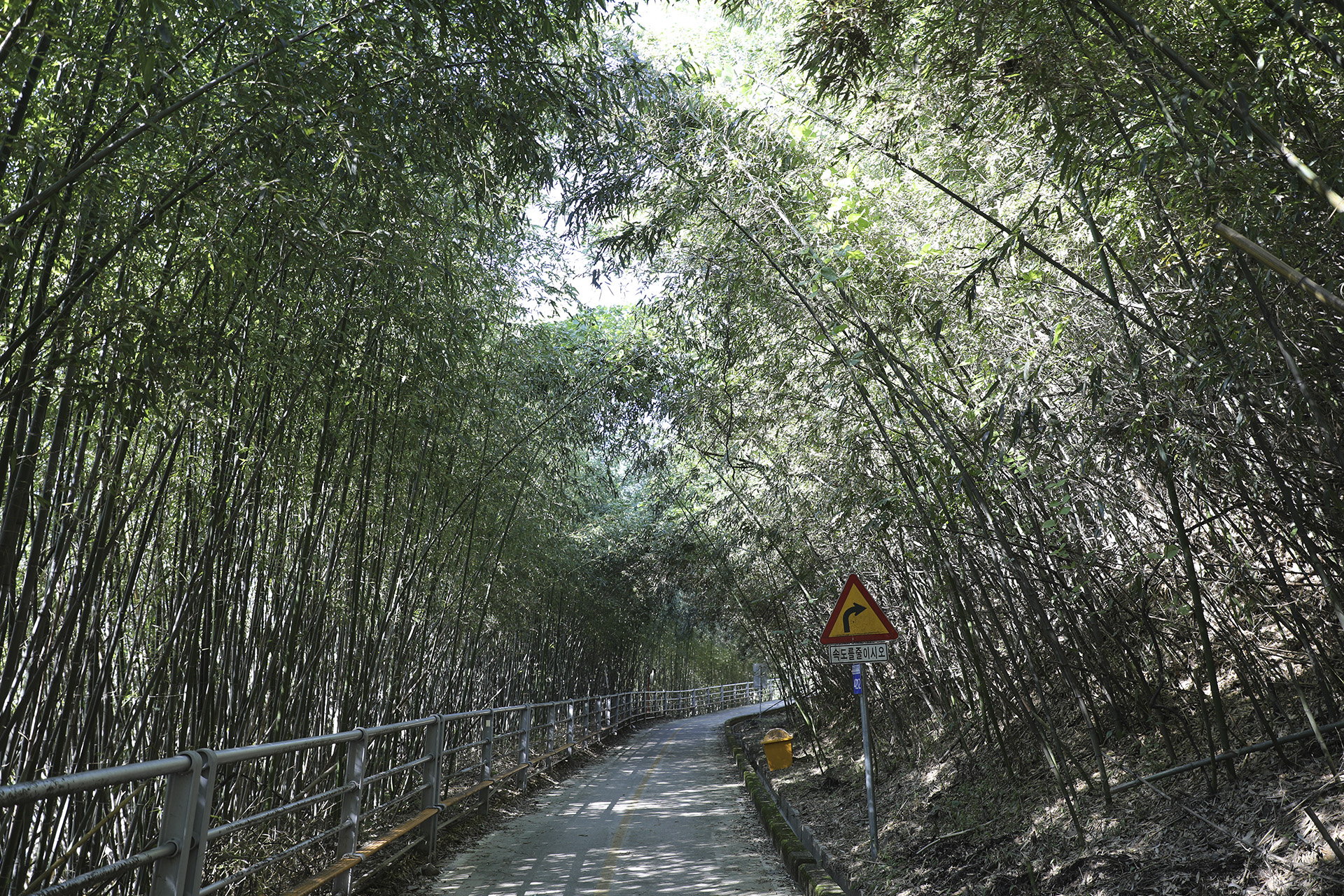 삼랑진낙동강자전거도로