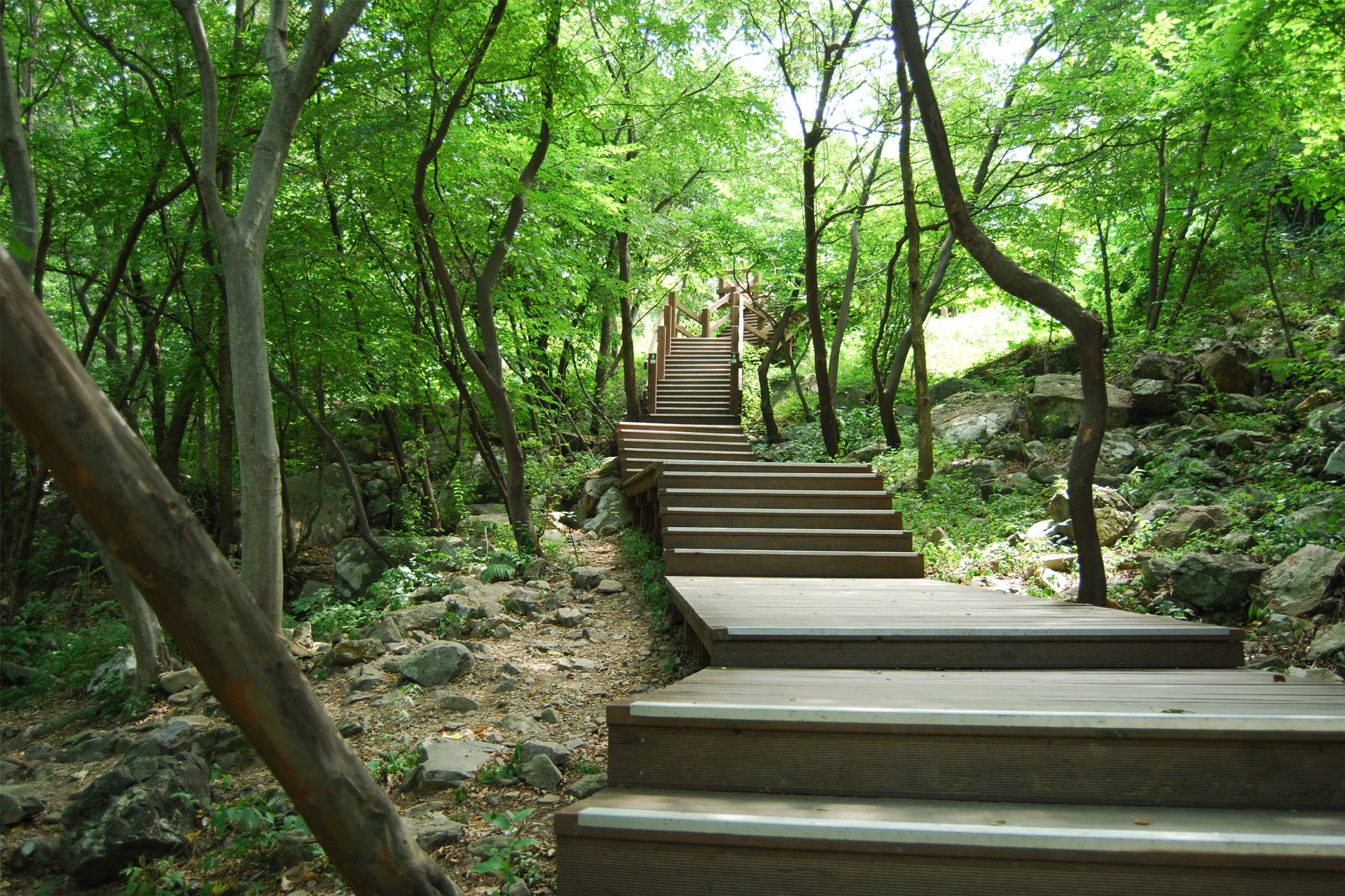 대운산 자연 휴양림