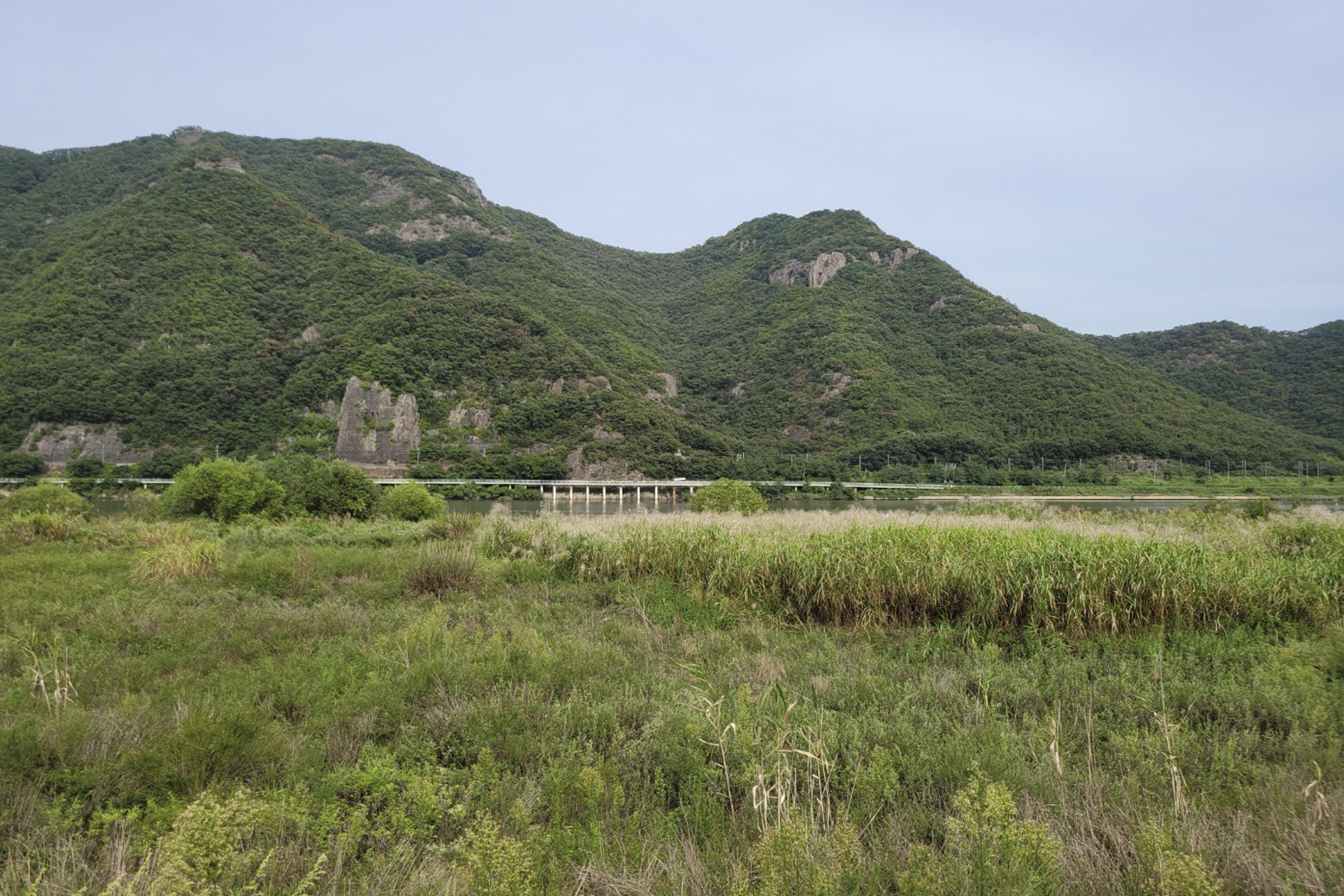 생림도요생태공원