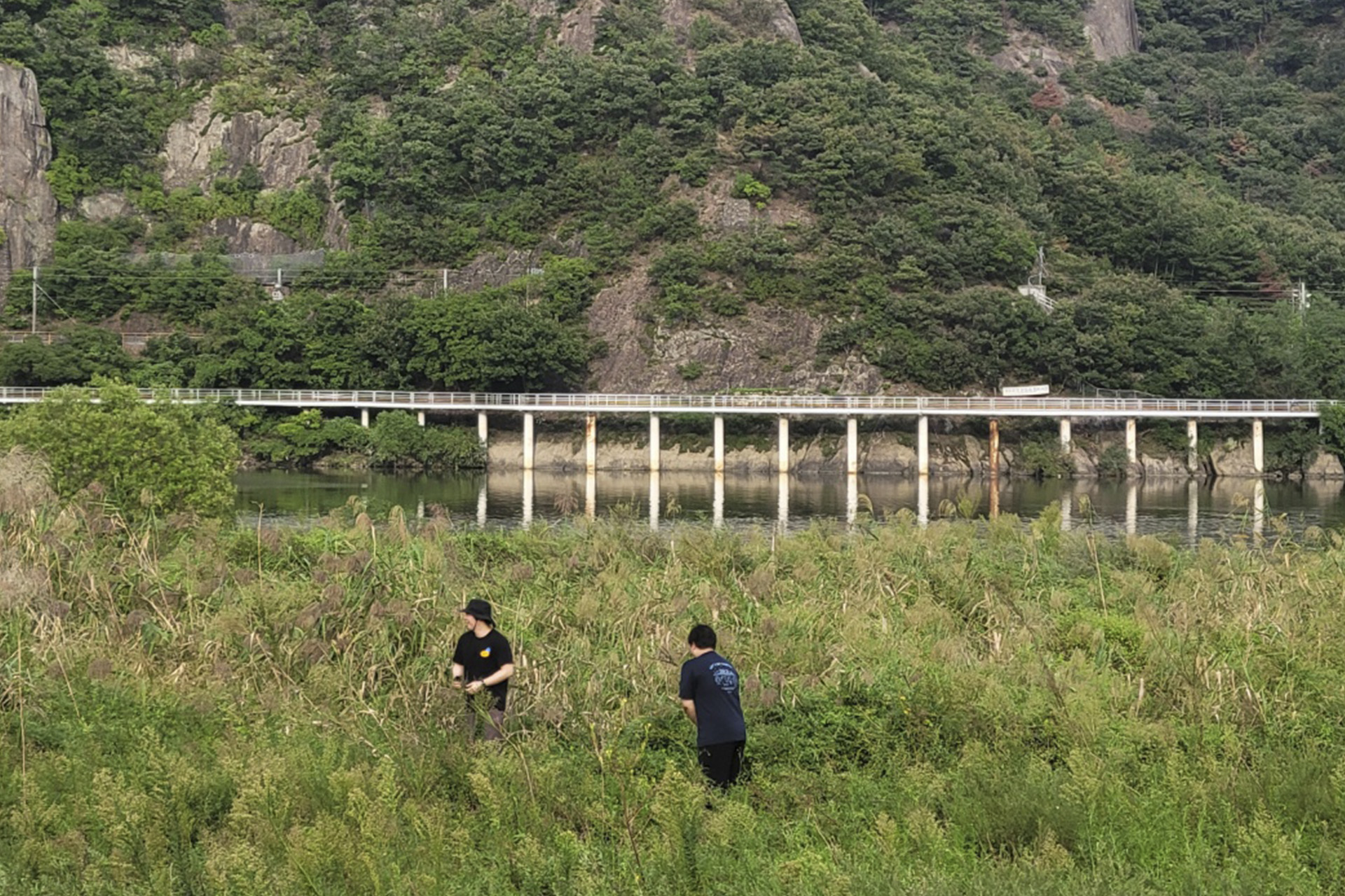 생림도요생태공원