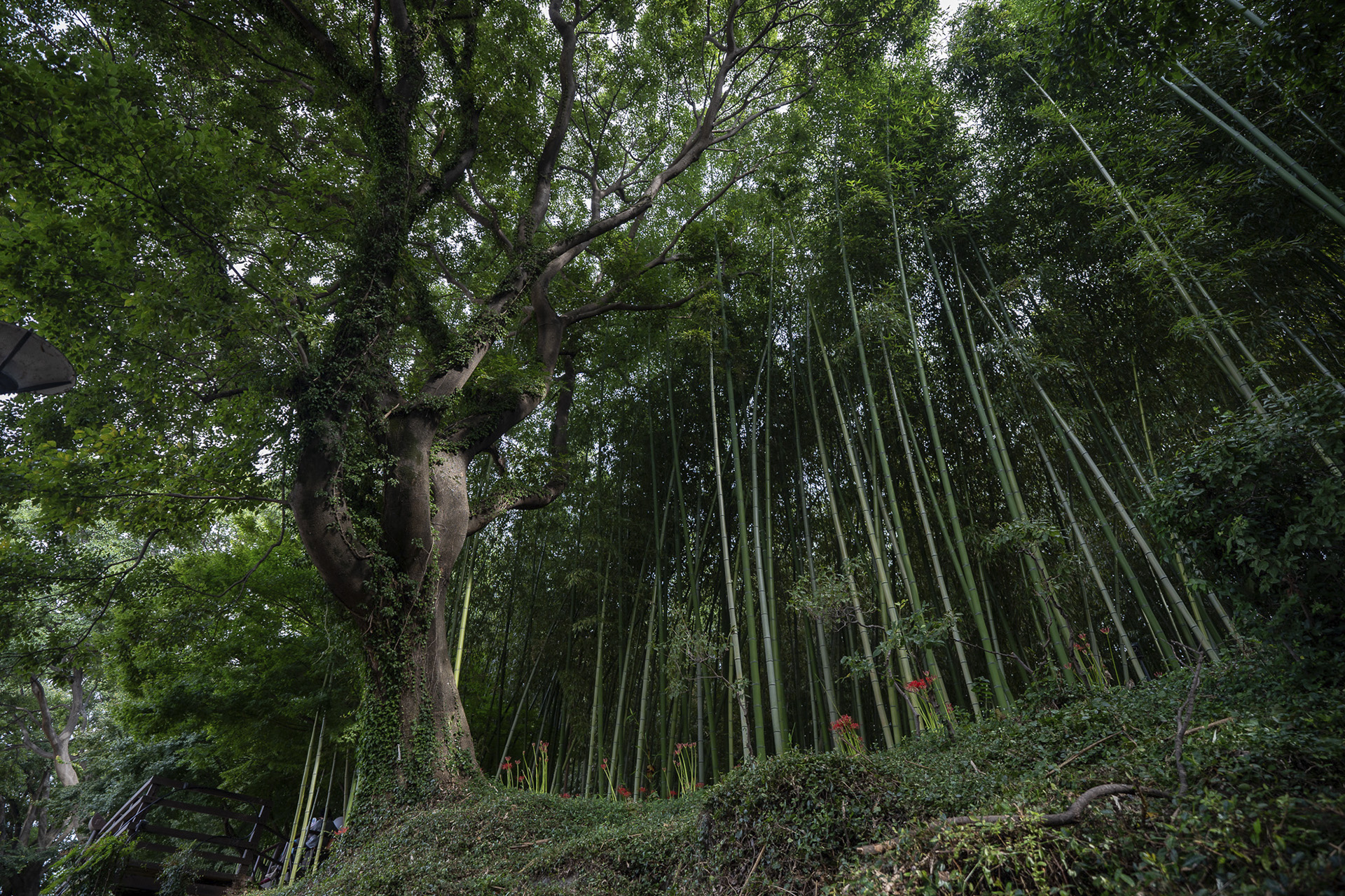 진주시 남가람공원
