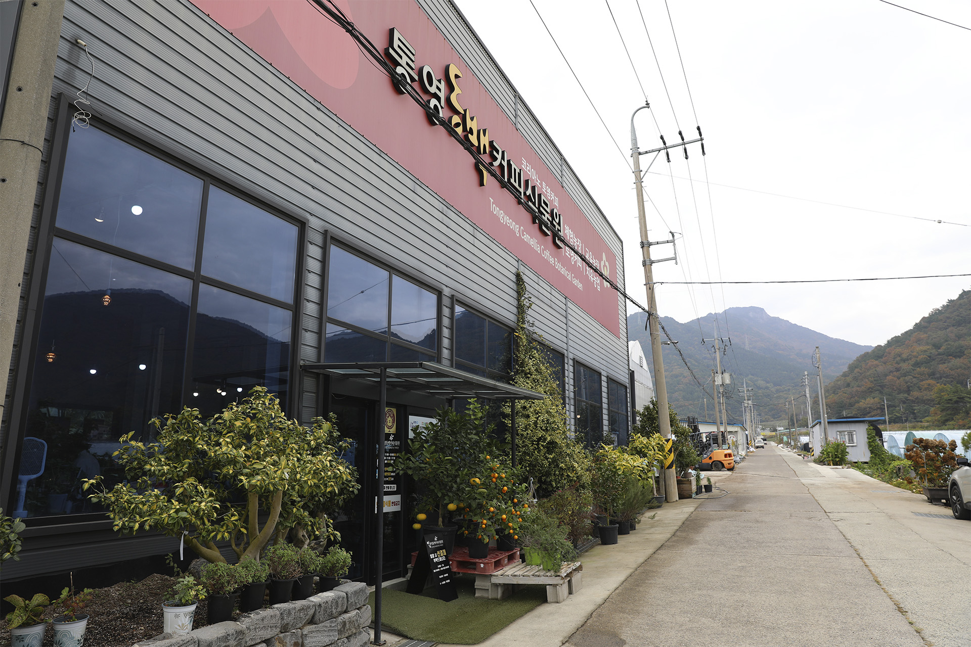 통영동백커피식물원