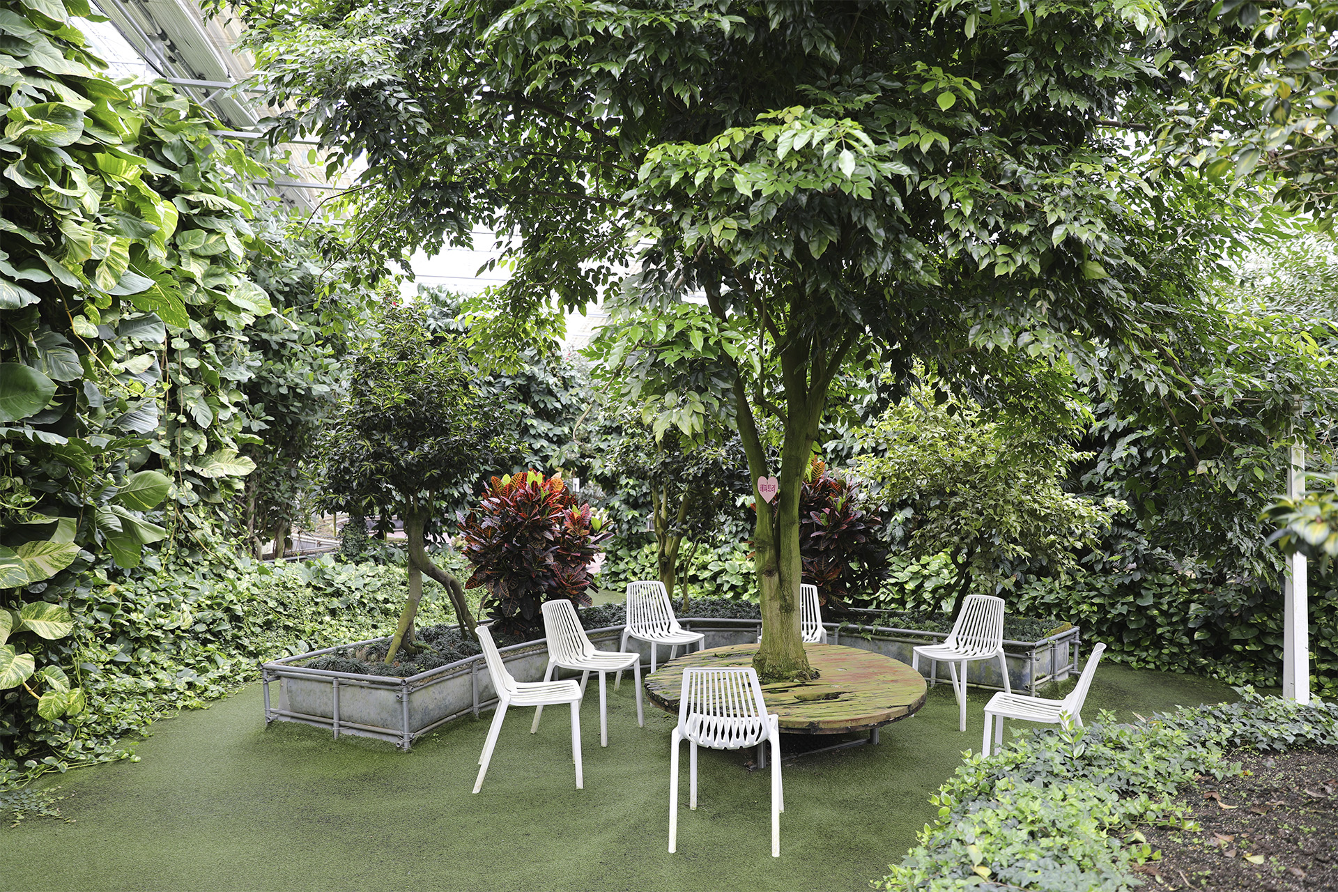 통영동백커피식물원