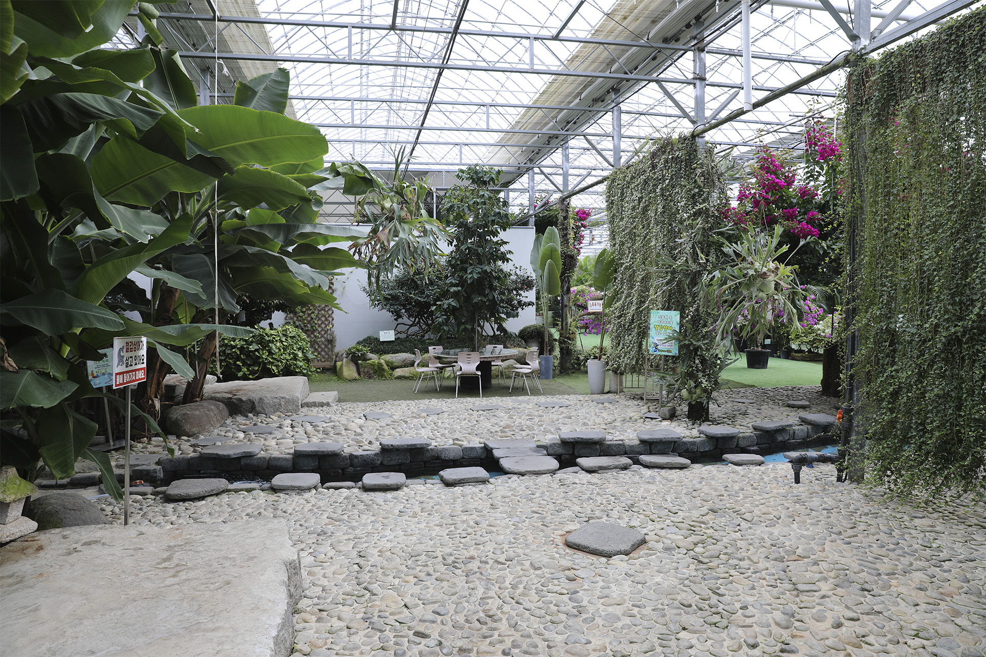 통영동백커피식물원