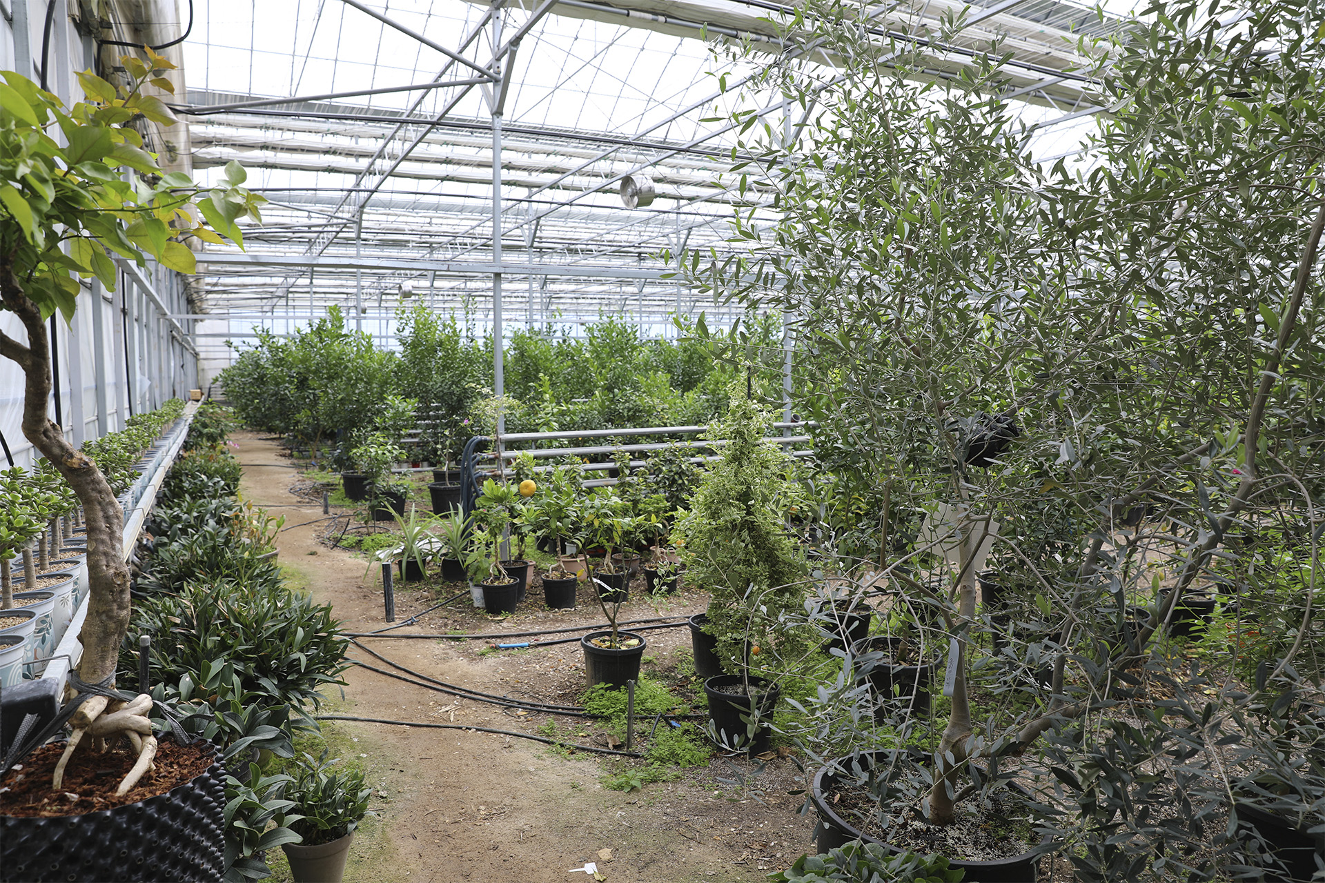 통영동백커피식물원