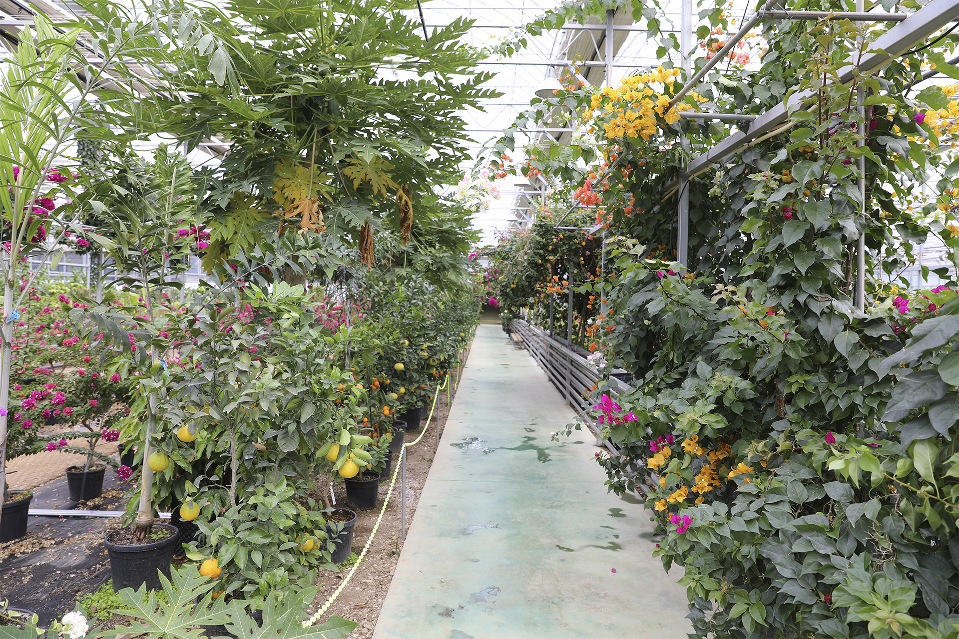 통영동백커피식물원