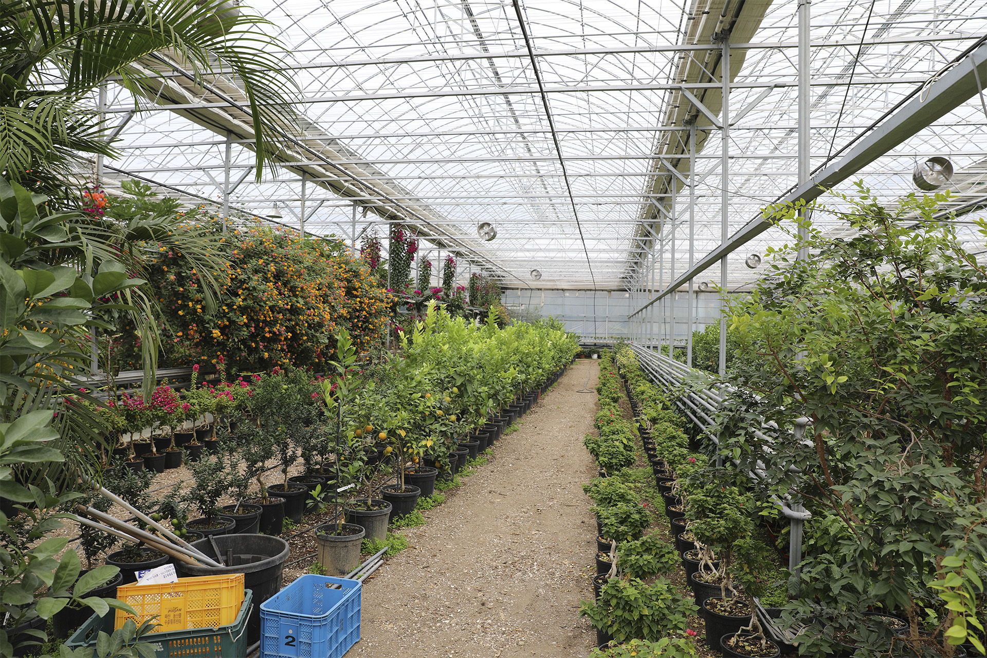 통영동백커피식물원