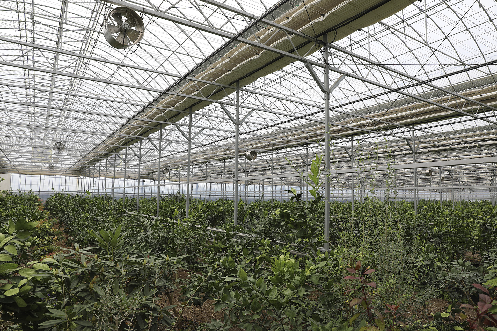 통영동백커피식물원