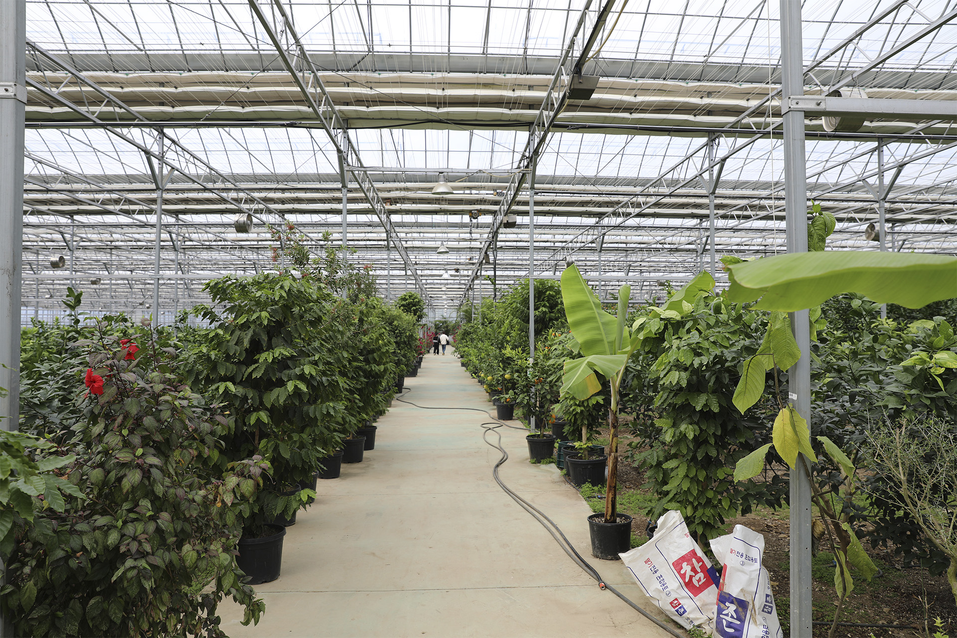 통영동백커피식물원