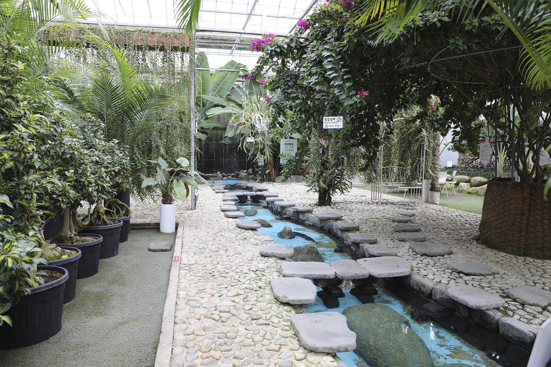 통영동백커피식물원