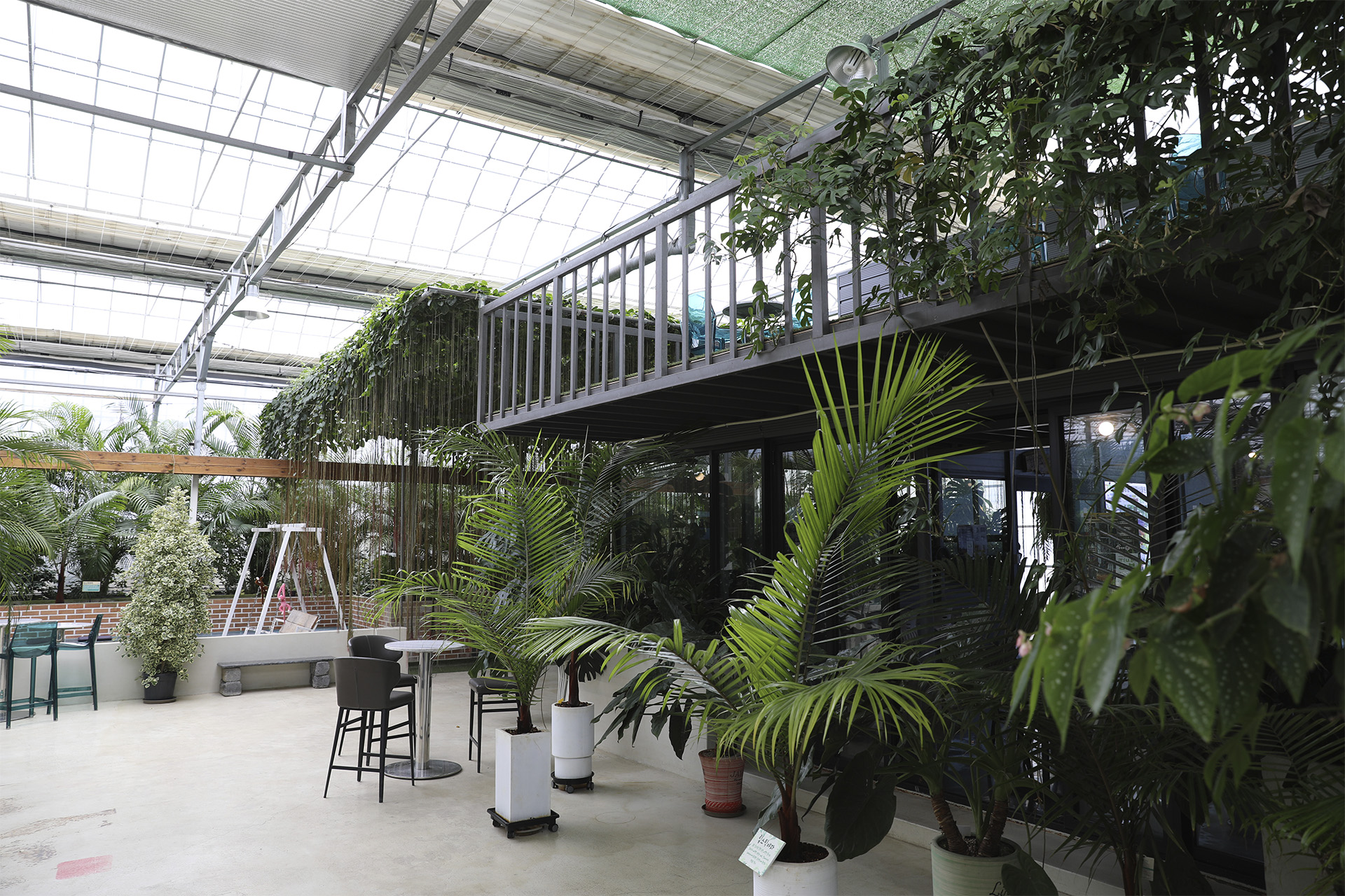 통영동백커피식물원