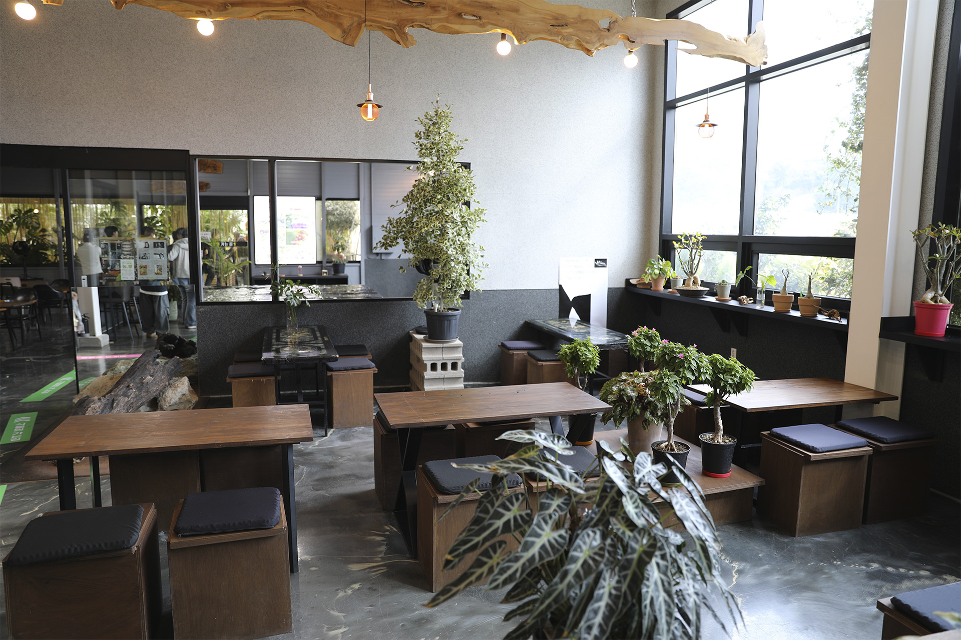 통영동백커피식물원