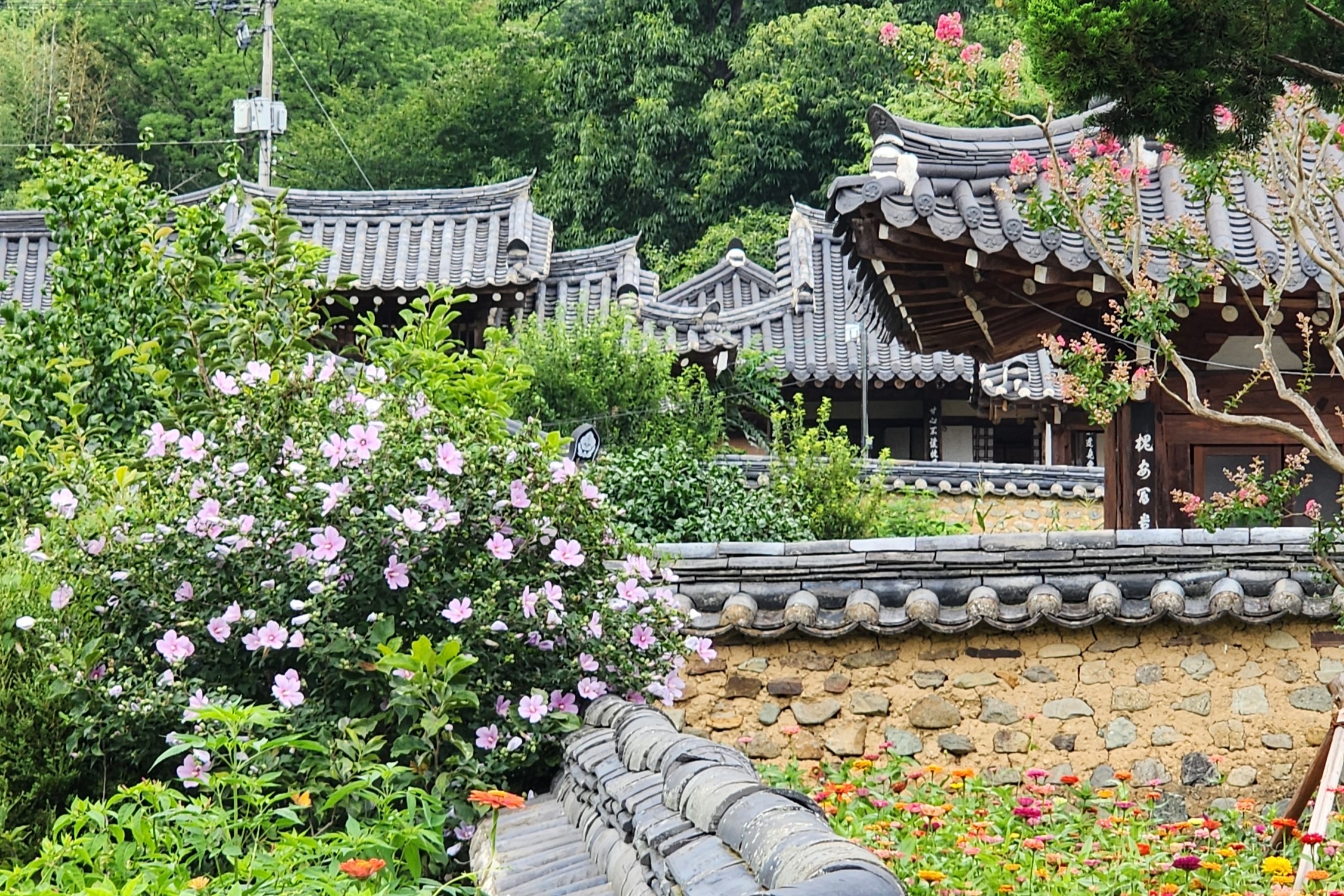 고려동과 퇴계선생길