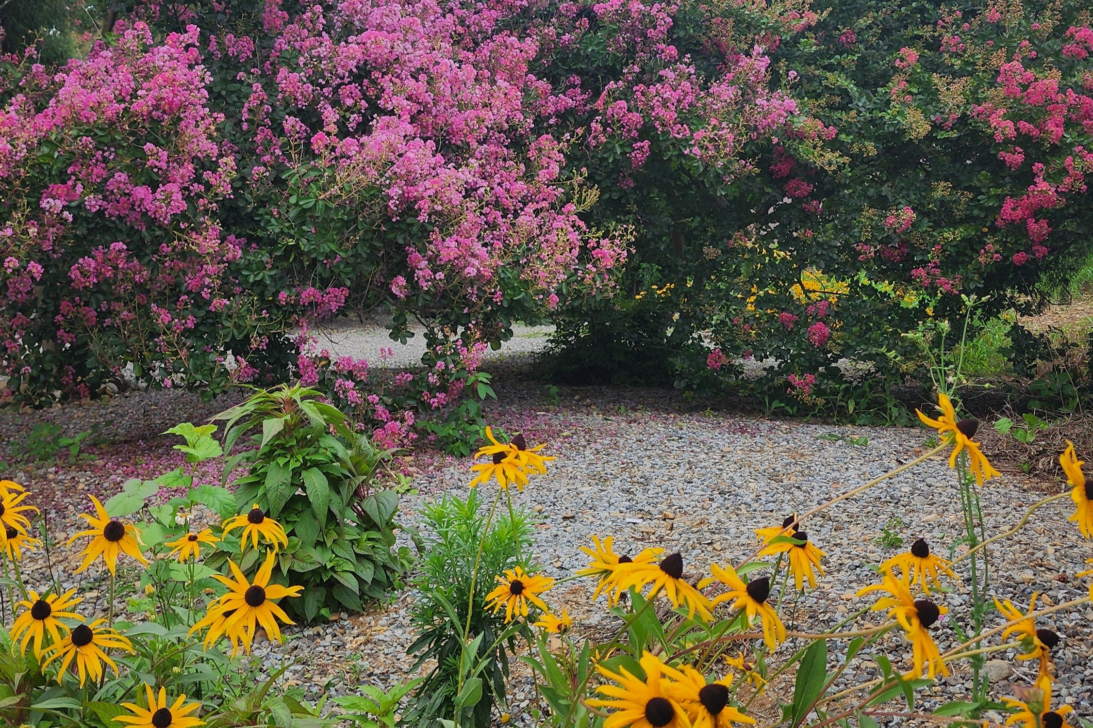 고려동과 퇴계선생길