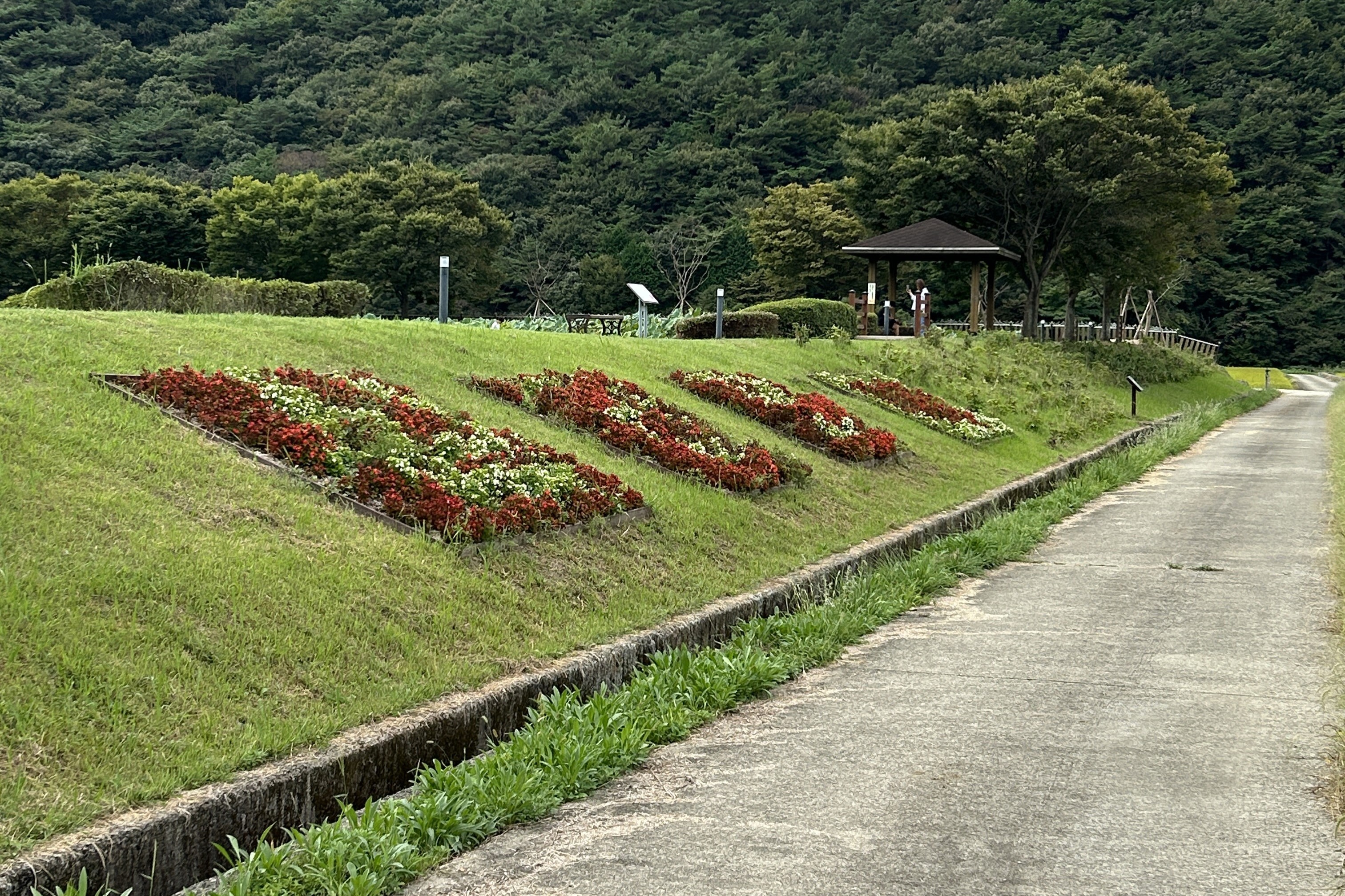 상리연꽃공원리연꽃공원