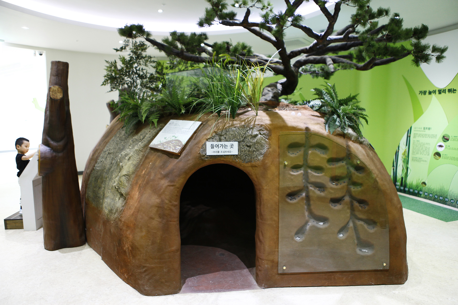 의령곤충생태학습관