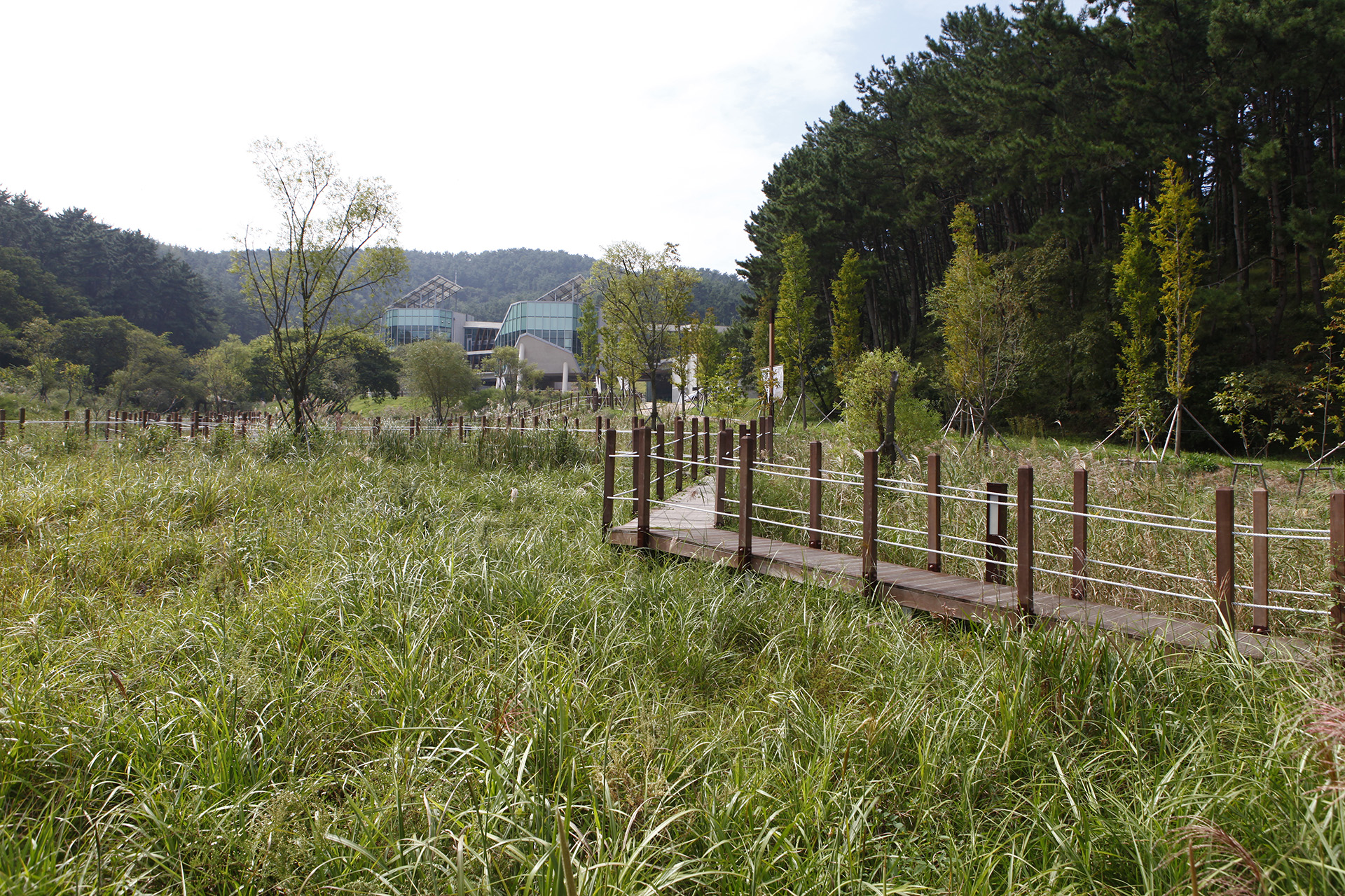 통영RCE 세자트라숲