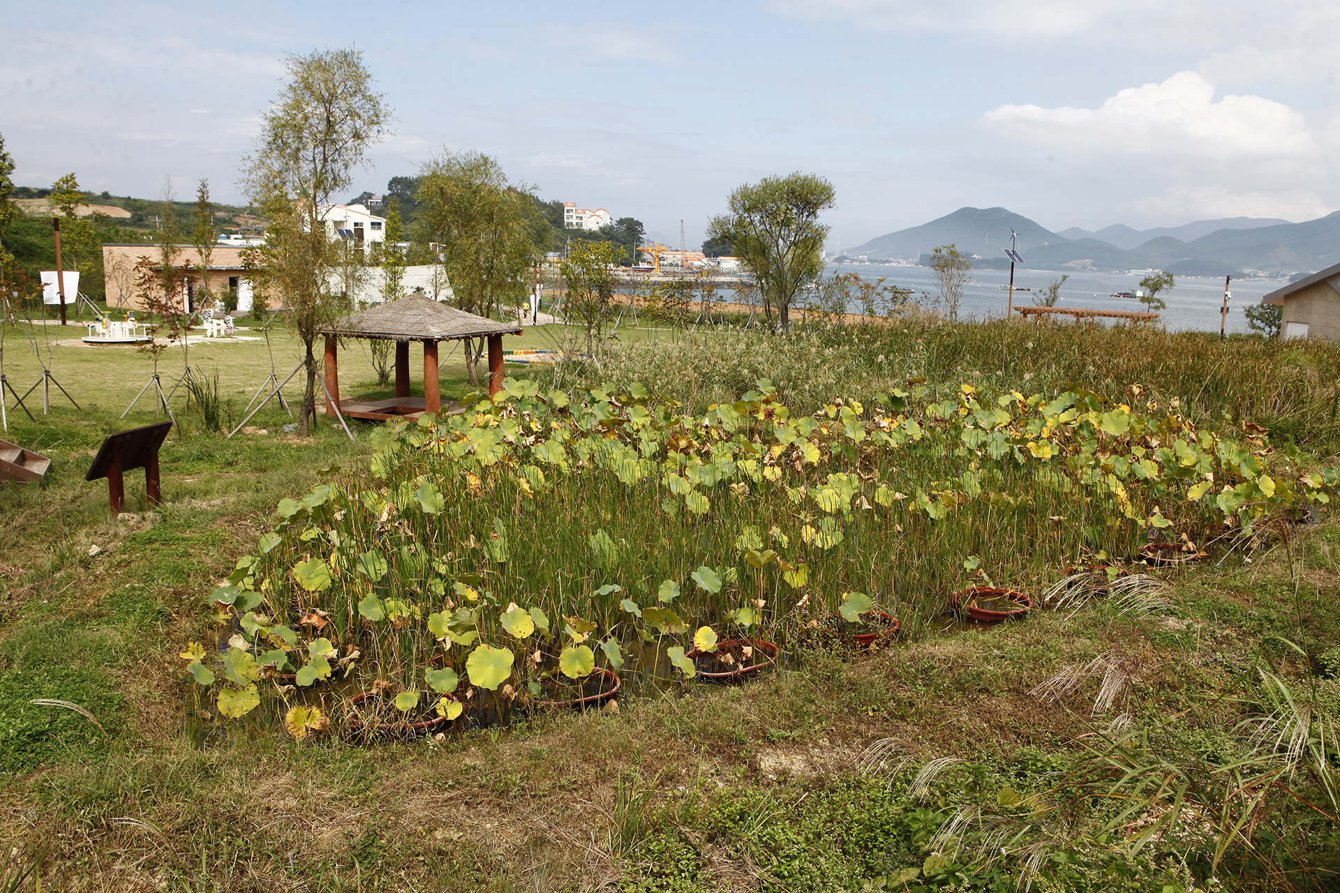 통영RCE 세자트라숲