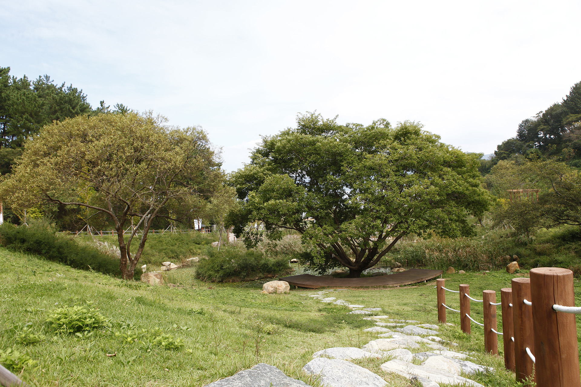 통영RCE 세자트라숲