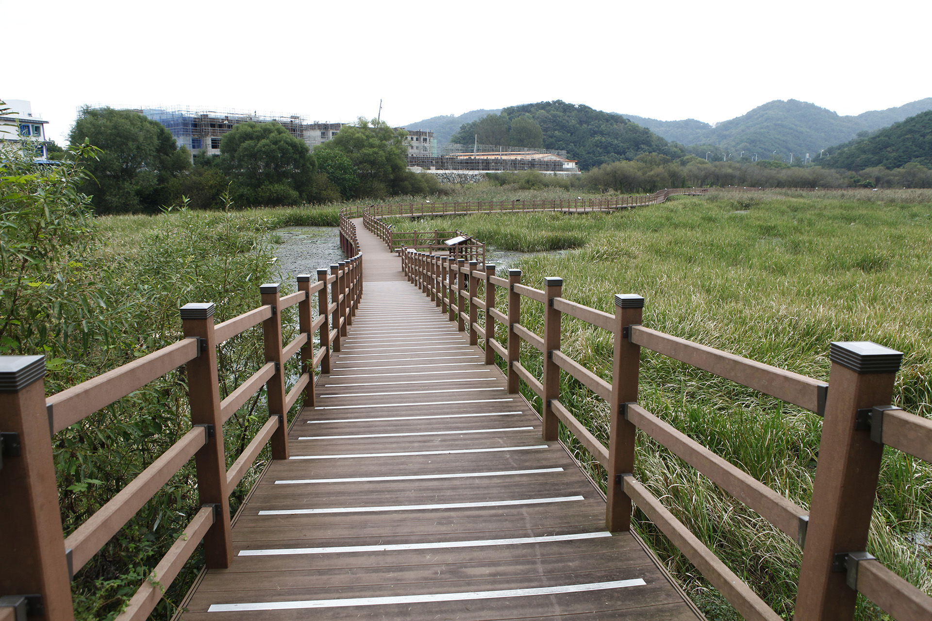 정양늪생태공원 