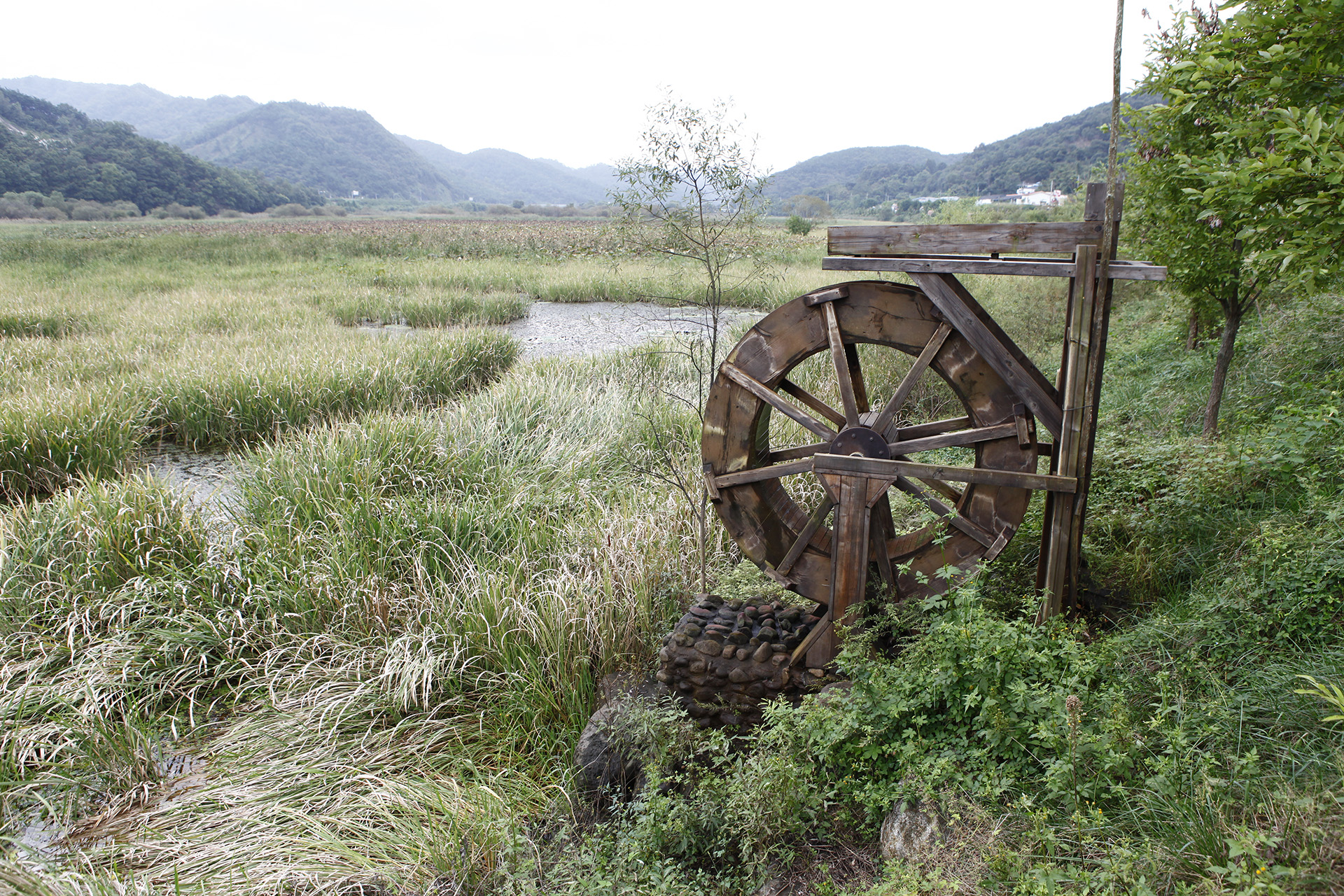 정양늪생태공원 