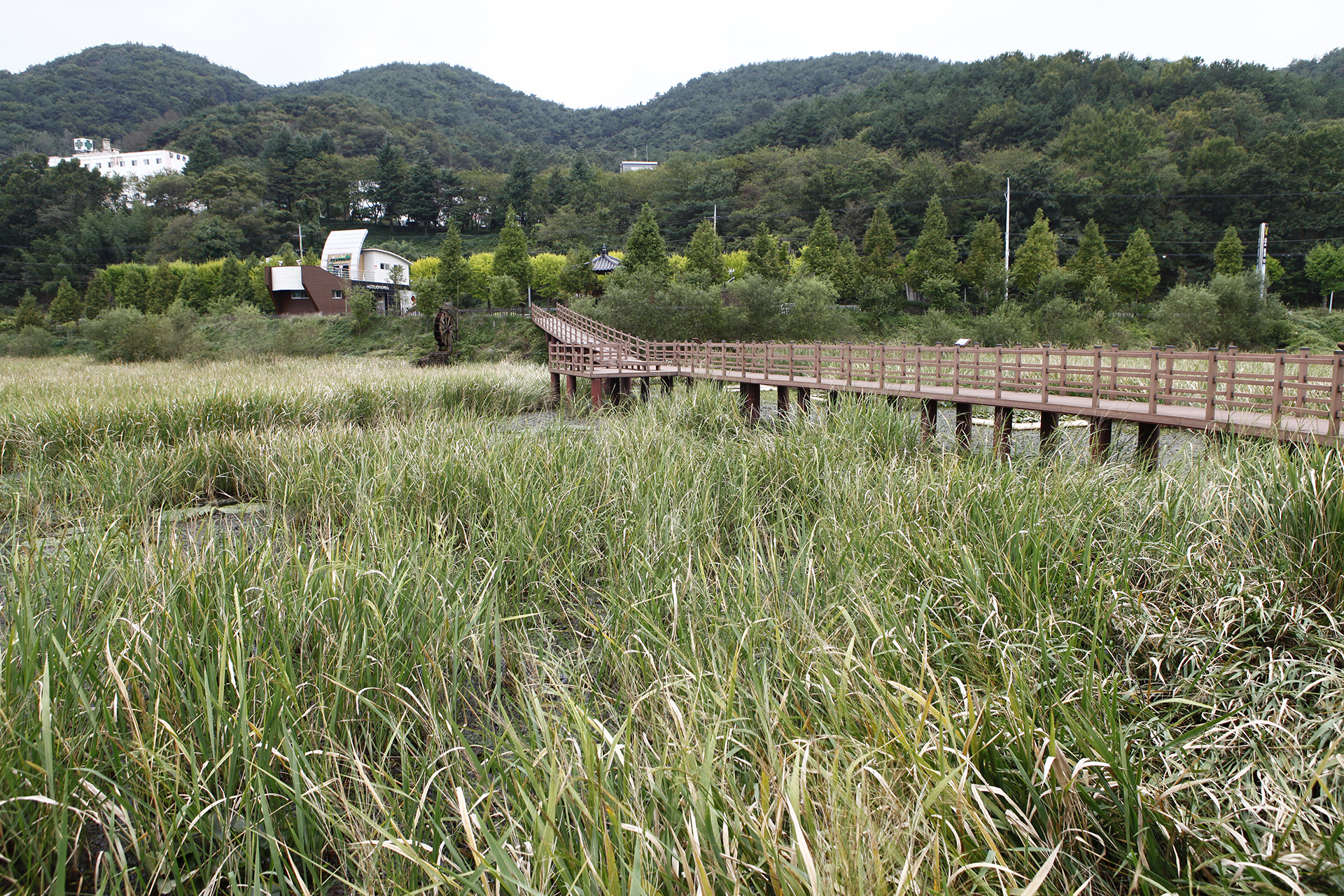 정양늪생태공원 