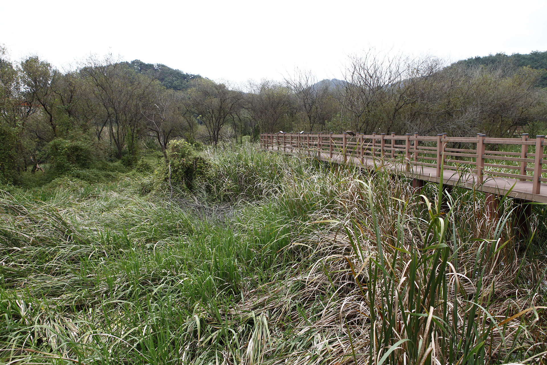 정양늪생태공원 