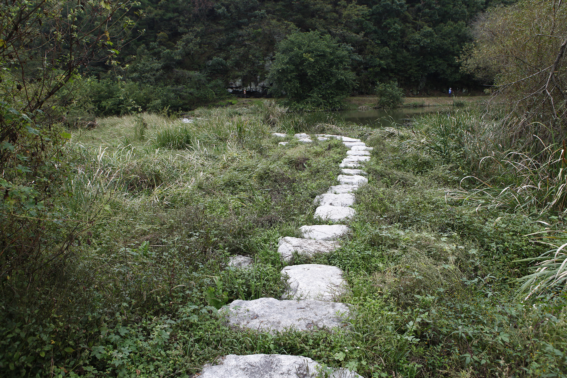 정양늪생태공원 