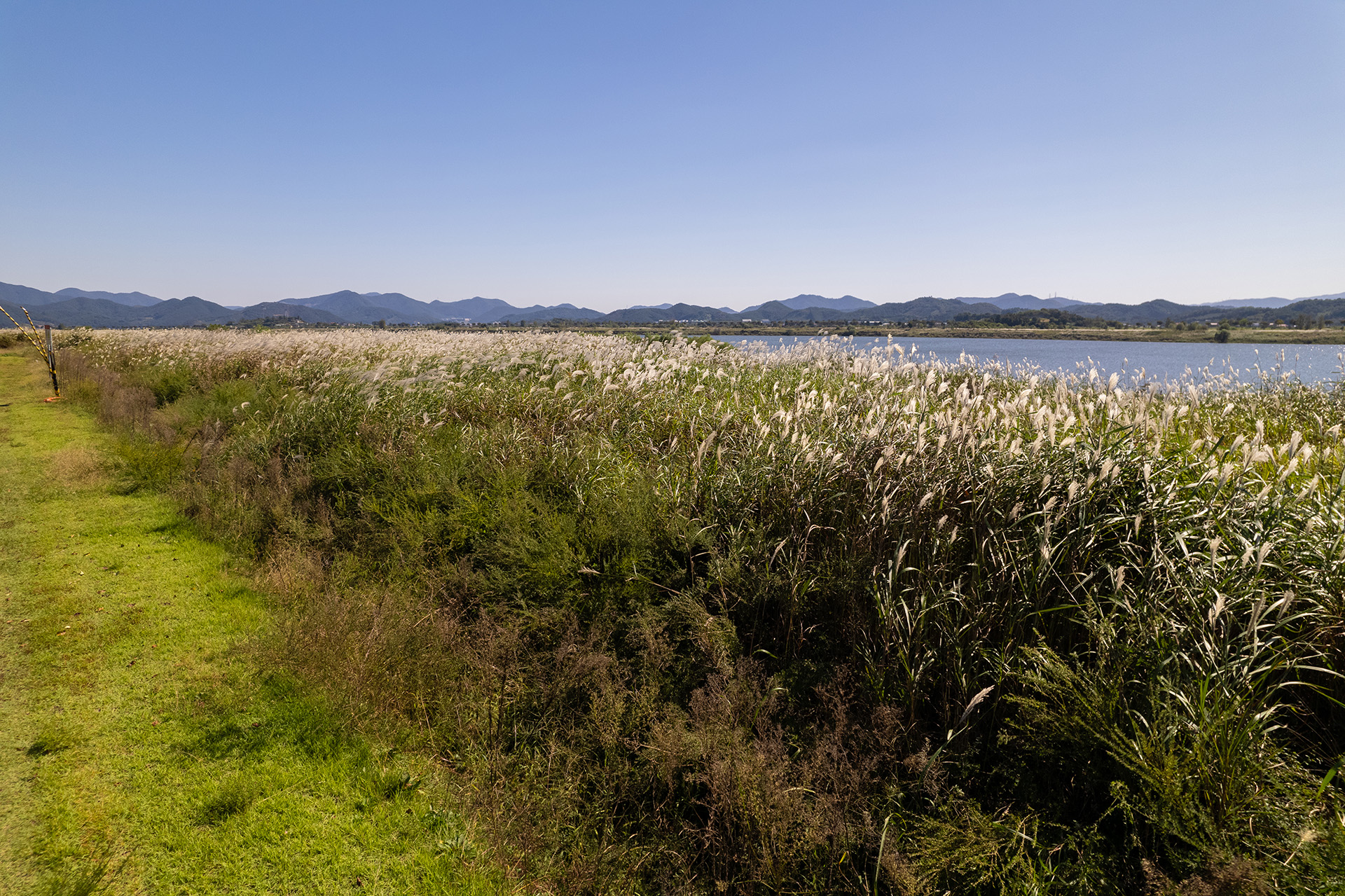 밀양아리랑 오토캠핑장