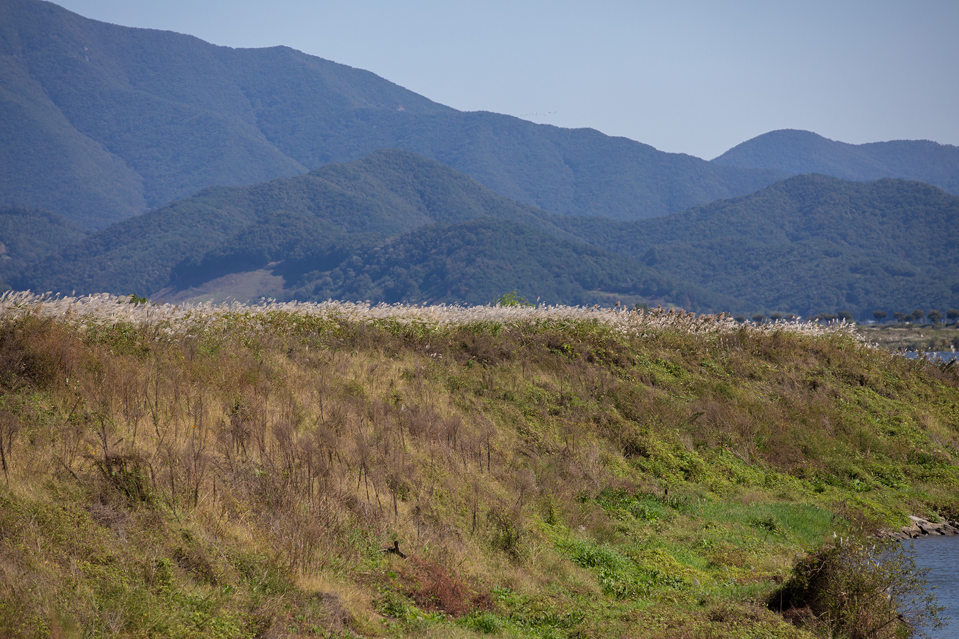 밀양아리랑 오토캠핑장