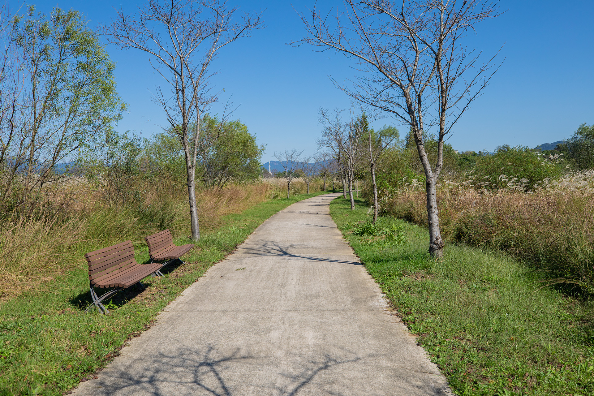 밀양아리랑 오토캠핑장