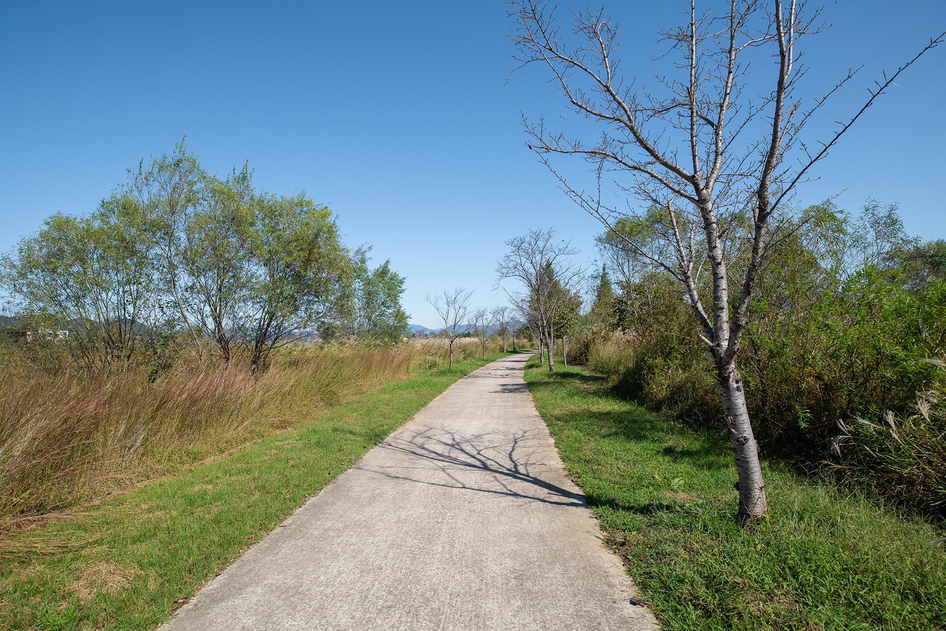 밀양아리랑 오토캠핑장