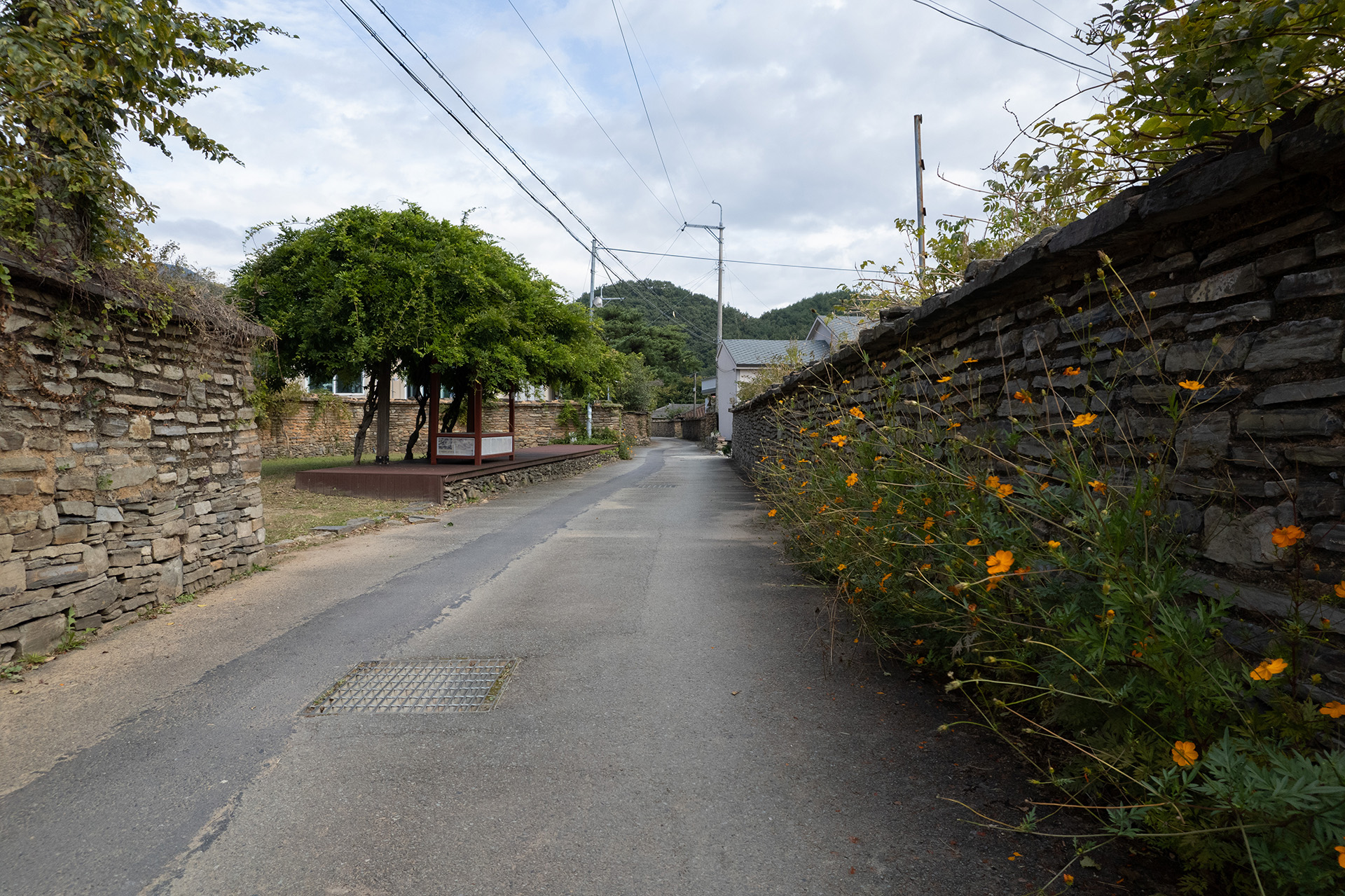 고성학동마을옛담장