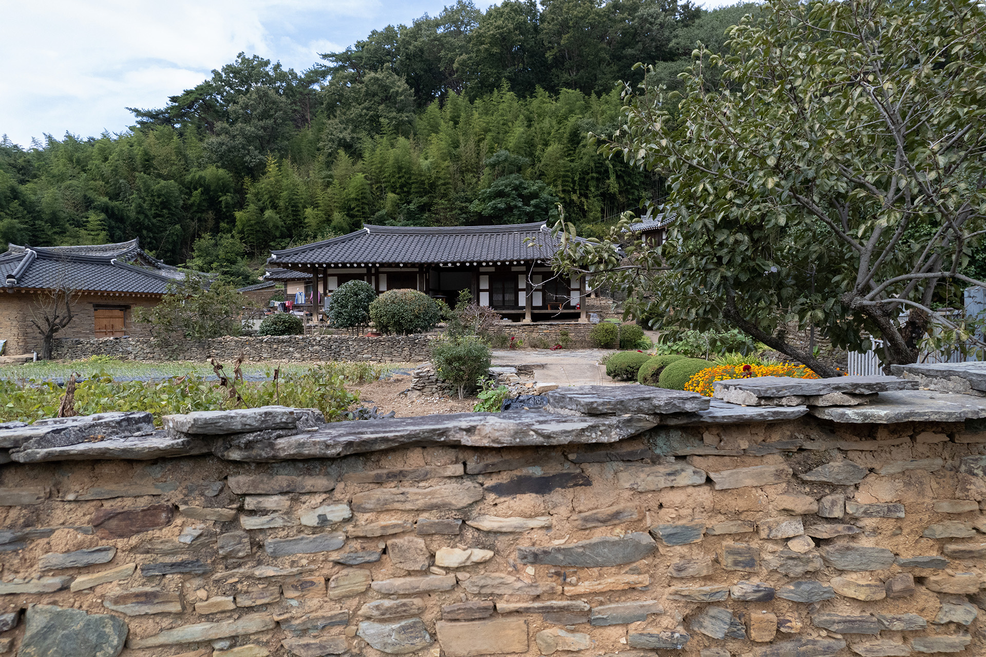 고성학동마을옛담장