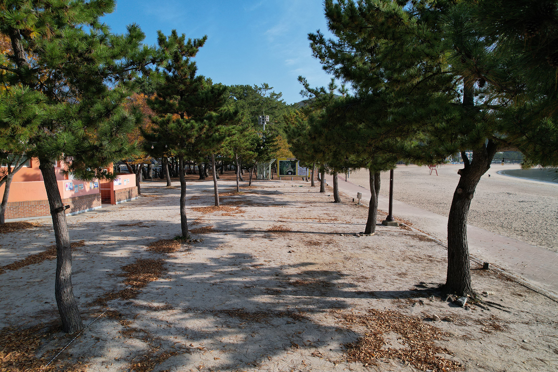 상주은모래비치