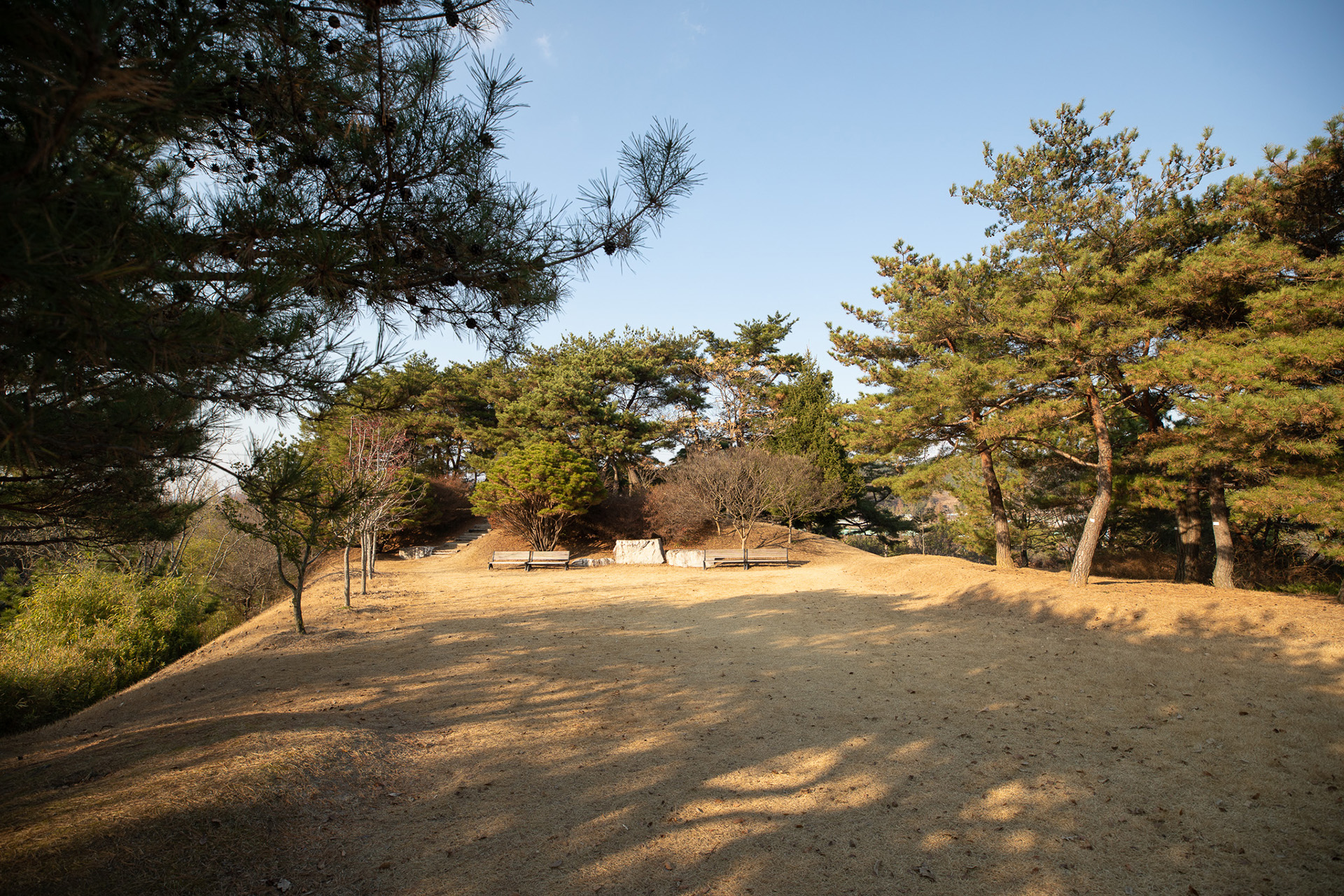 경상남도수목원