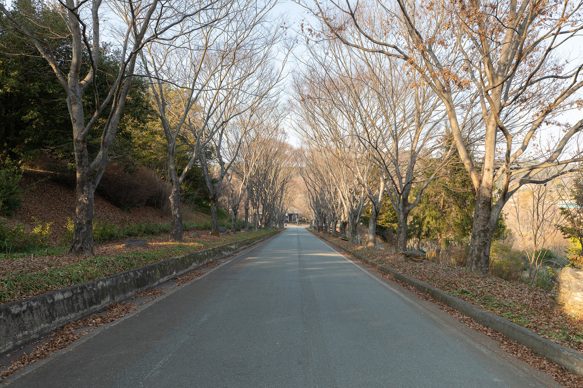 경상남도수목원