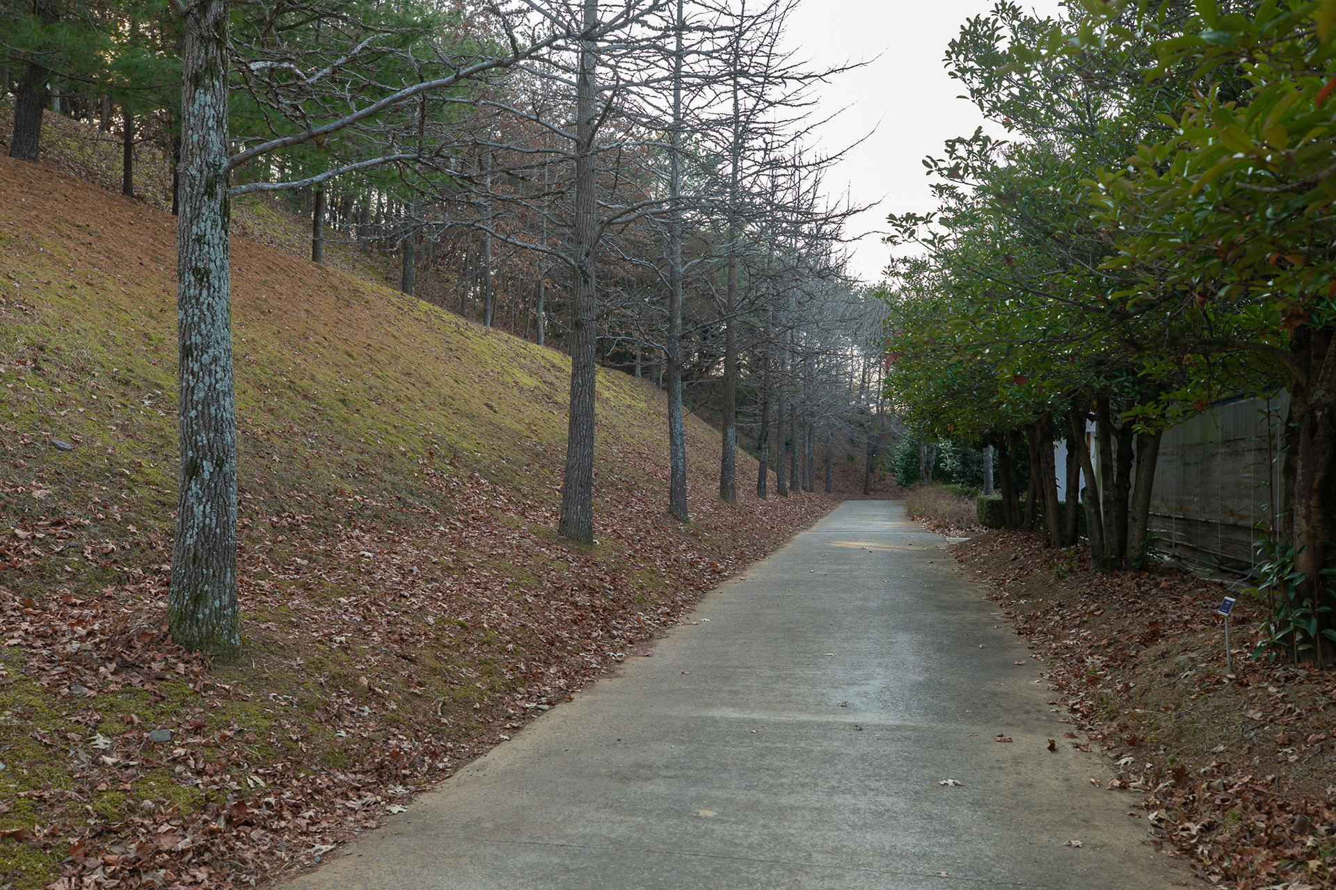 경상남도수목원