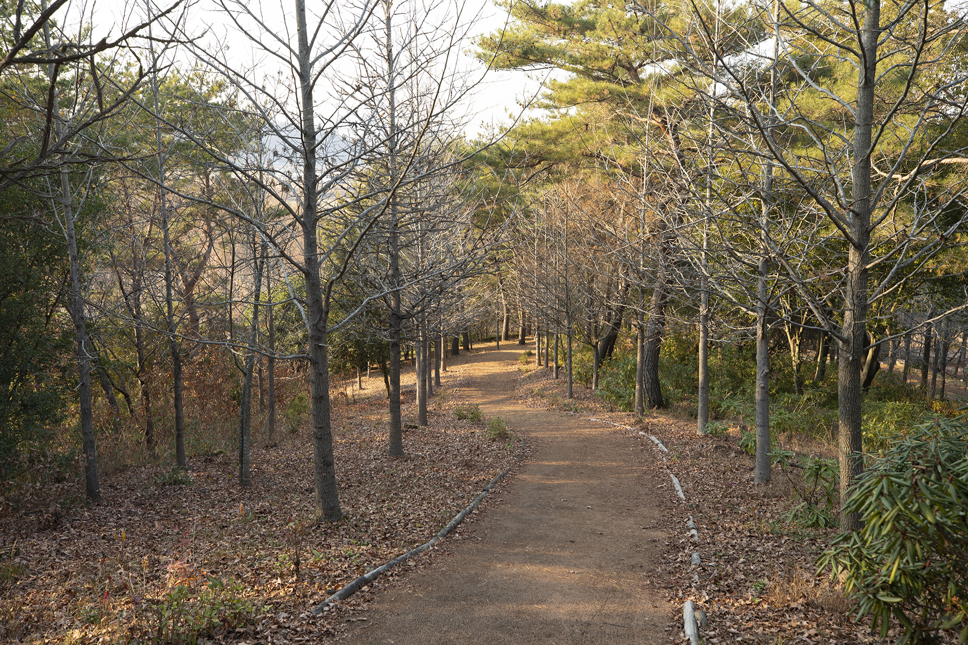 경상남도수목원
