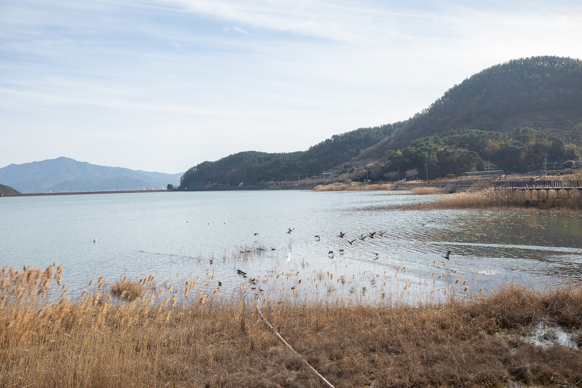 대가저수지연꽃테마공원