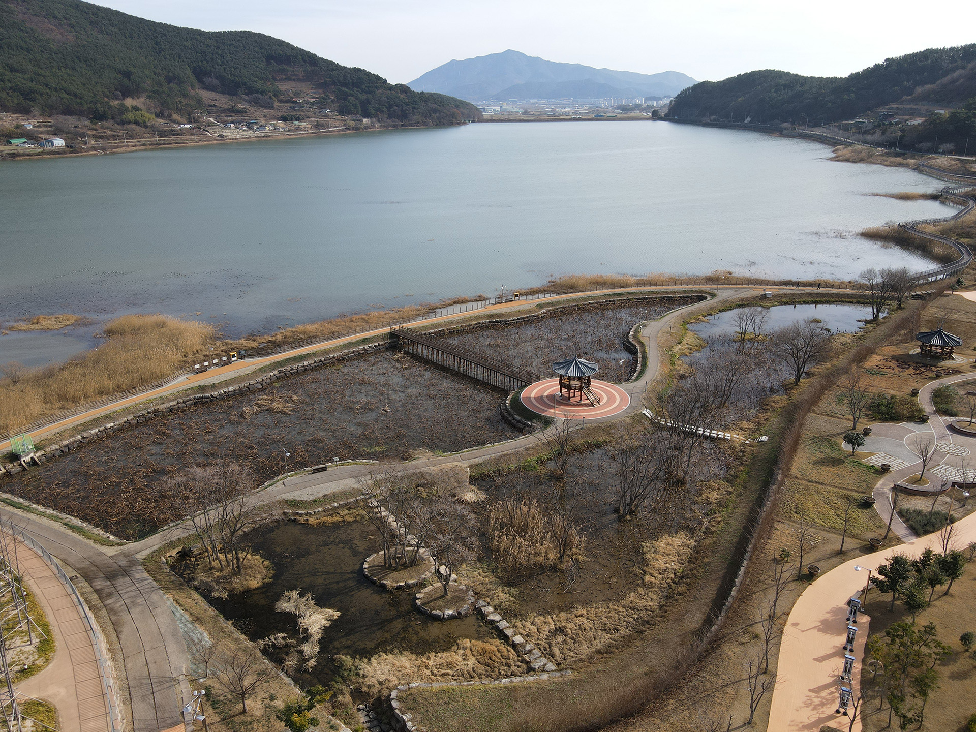 대가저수지연꽃테마공원