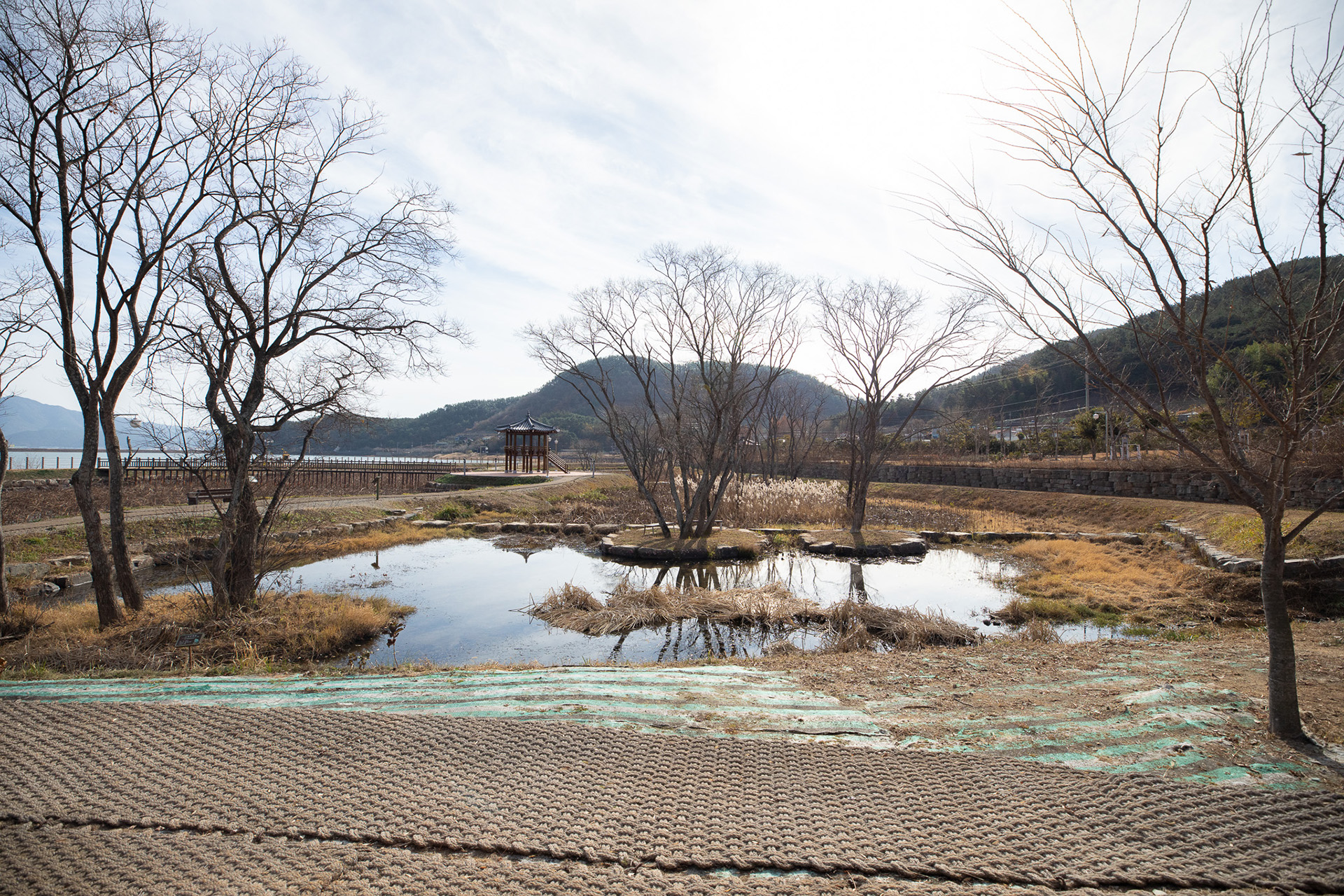 대가저수지연꽃테마공원