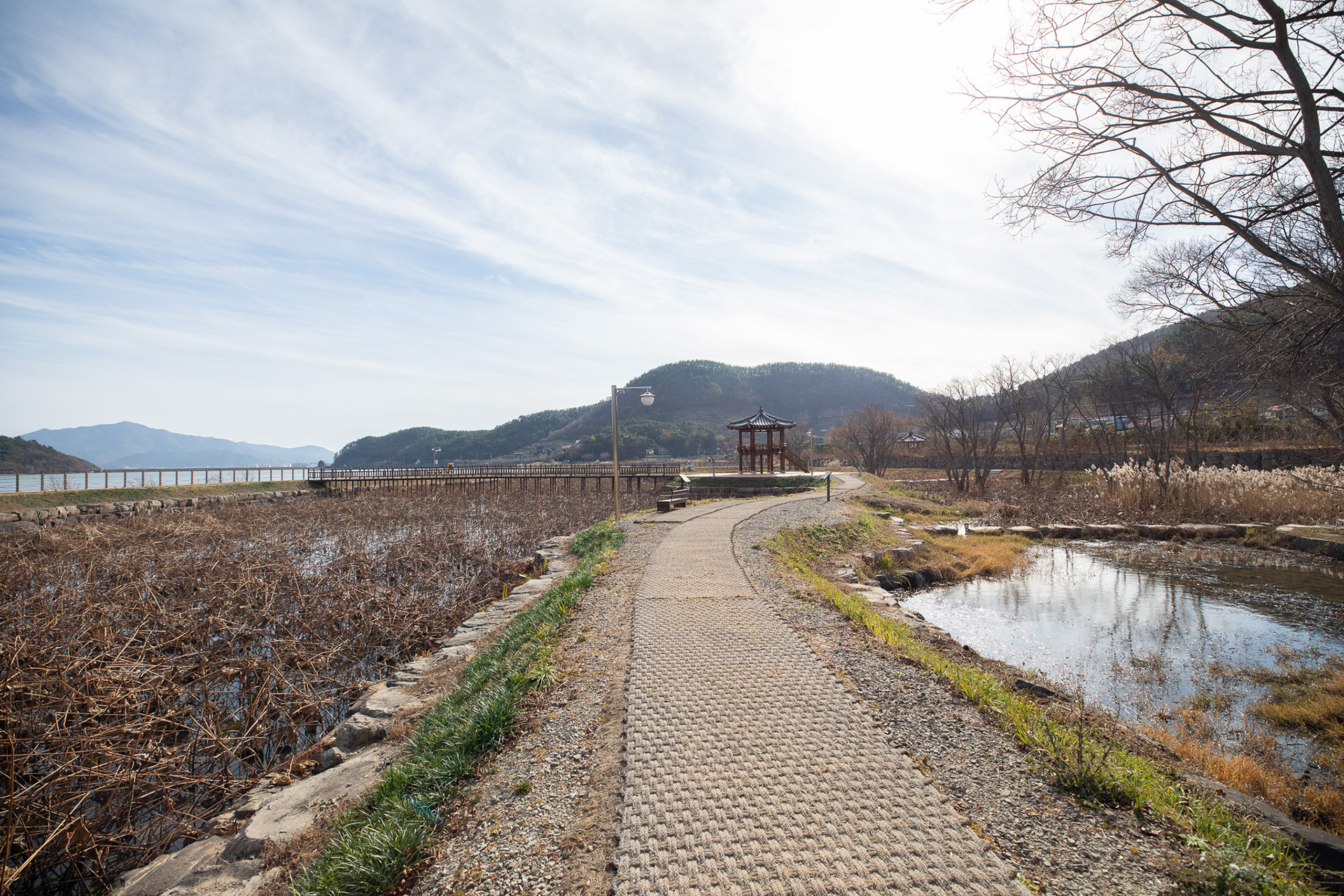 대가저수지연꽃테마공원