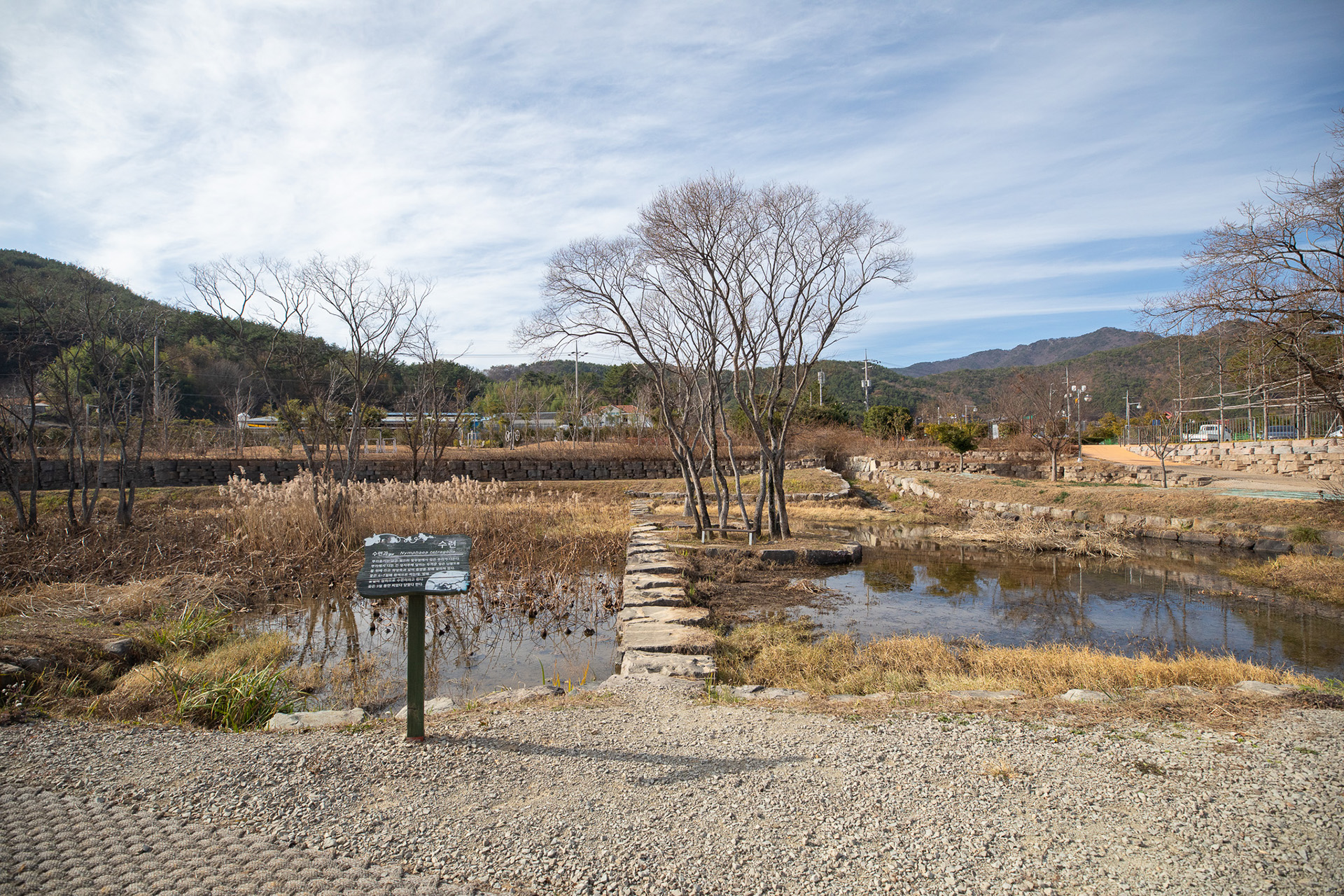 대가저수지연꽃테마공원