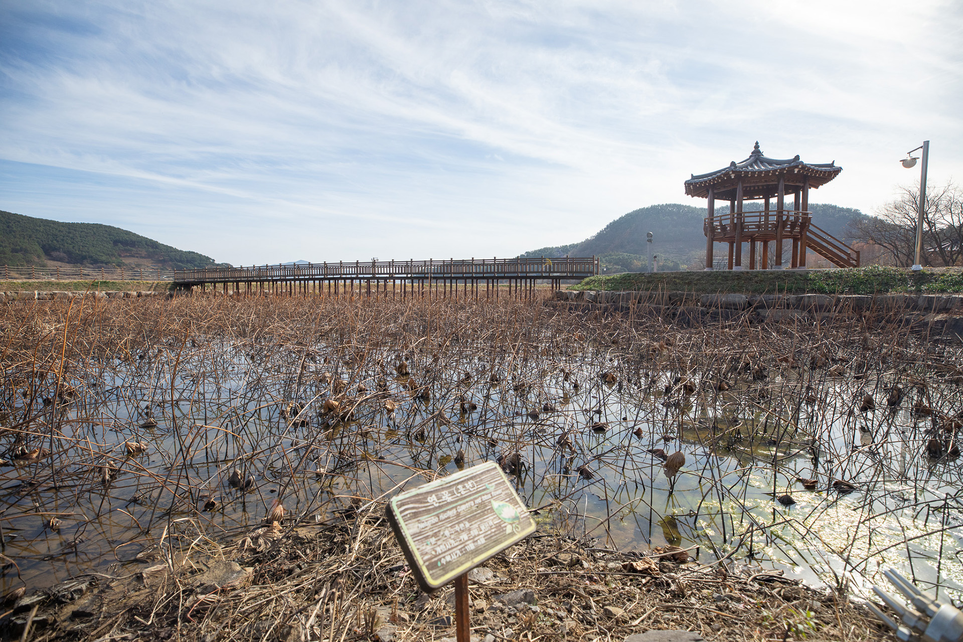 대가저수지연꽃테마공원