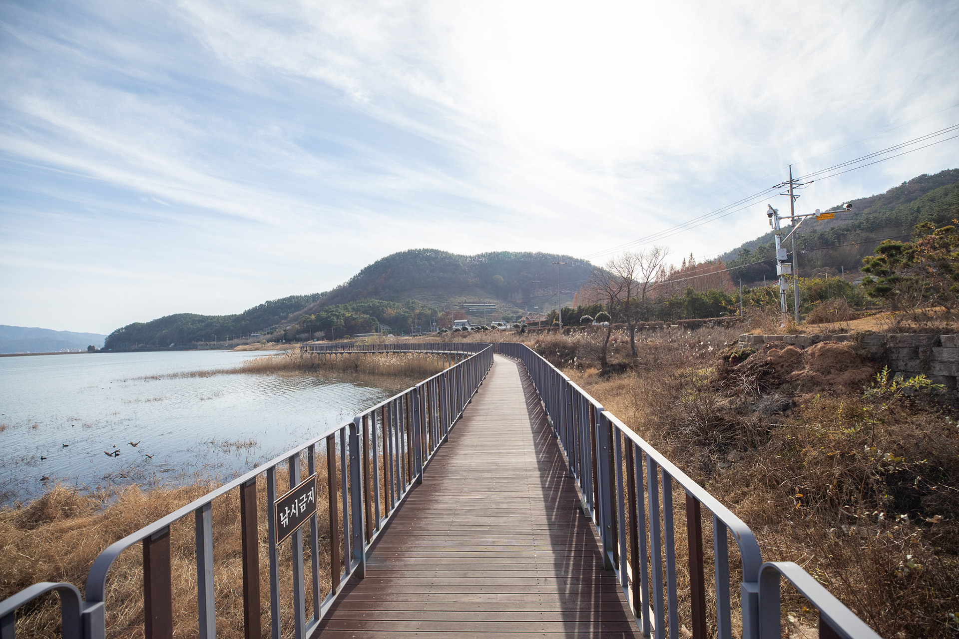 대가저수지연꽃테마공원