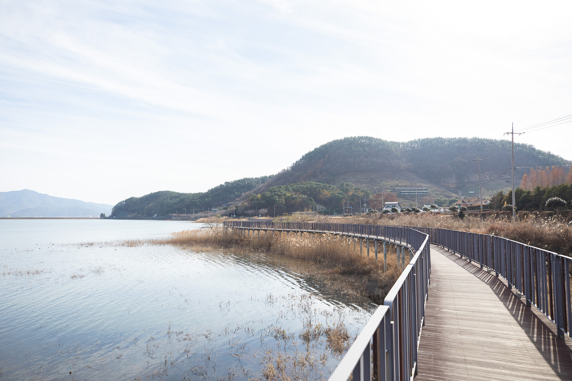 대가저수지연꽃테마공원