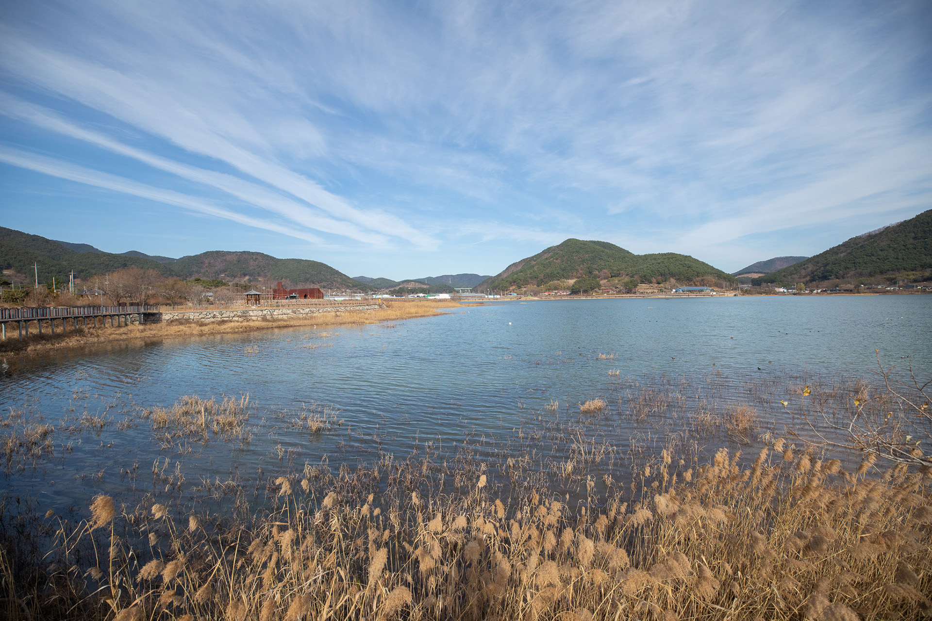 대가저수지연꽃테마공원